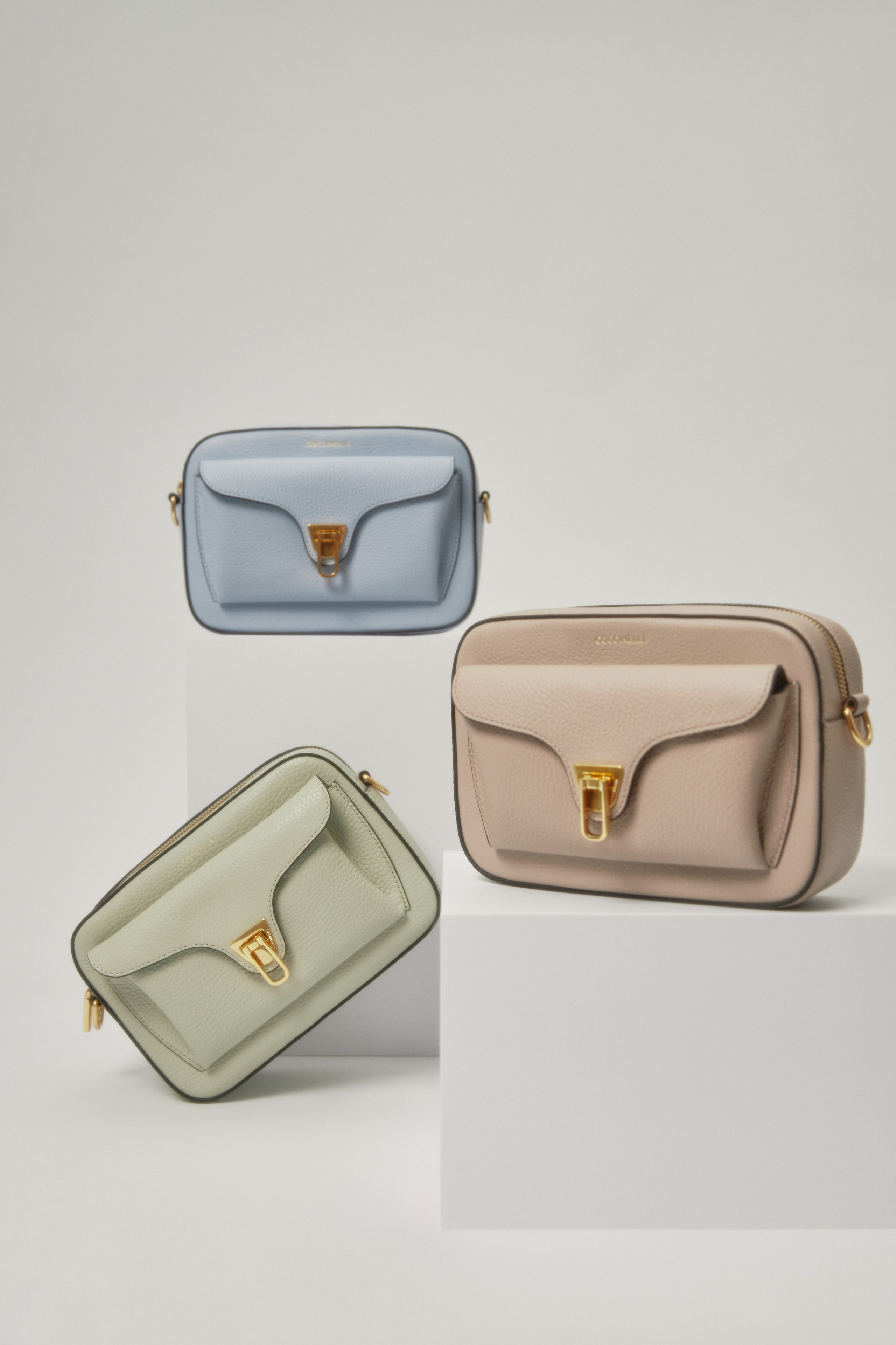 Coccinelli Bags. Dolgikh Production team