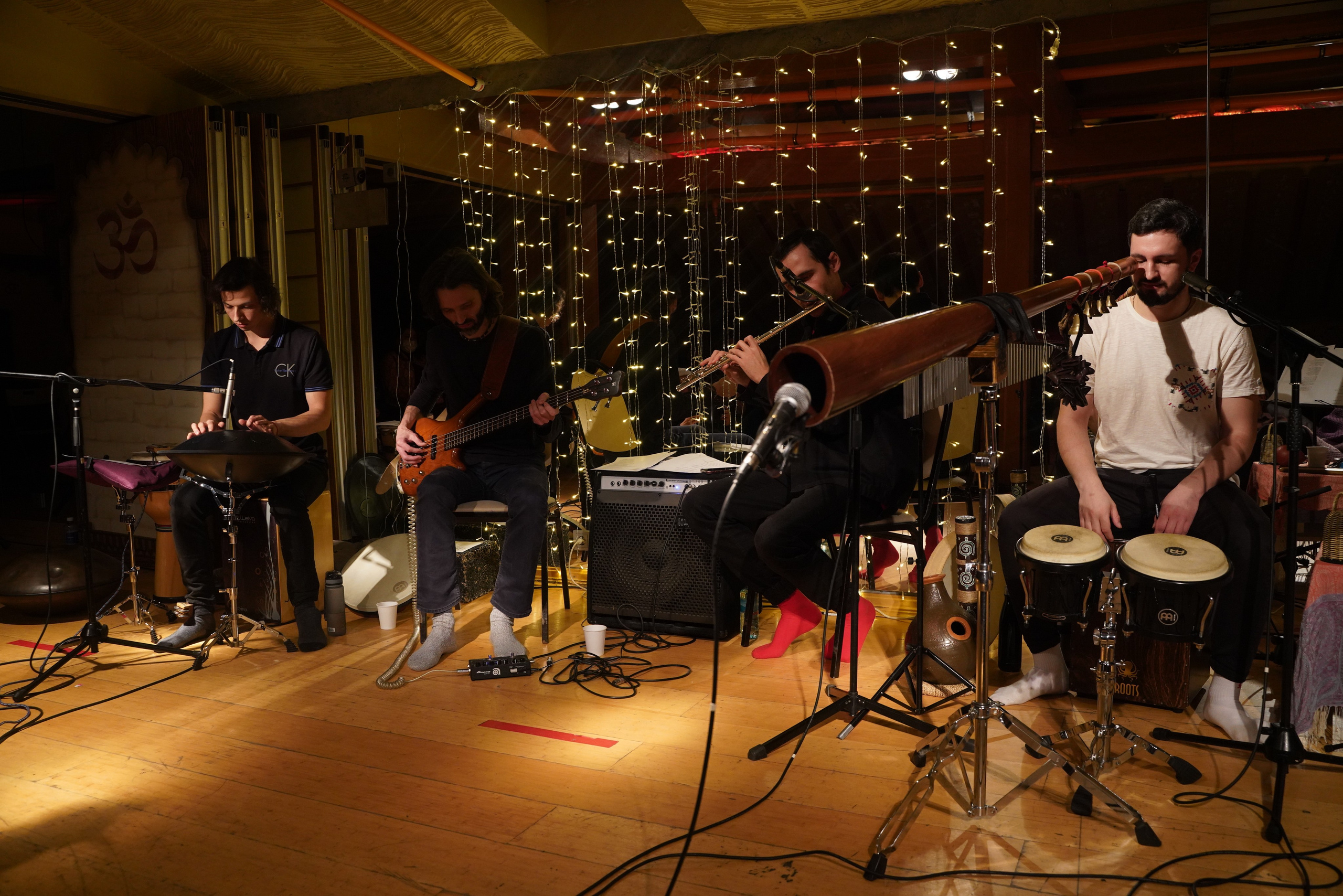 Концерт Forest jam project. Портретный и репортажный фотограф Наталья Горобец