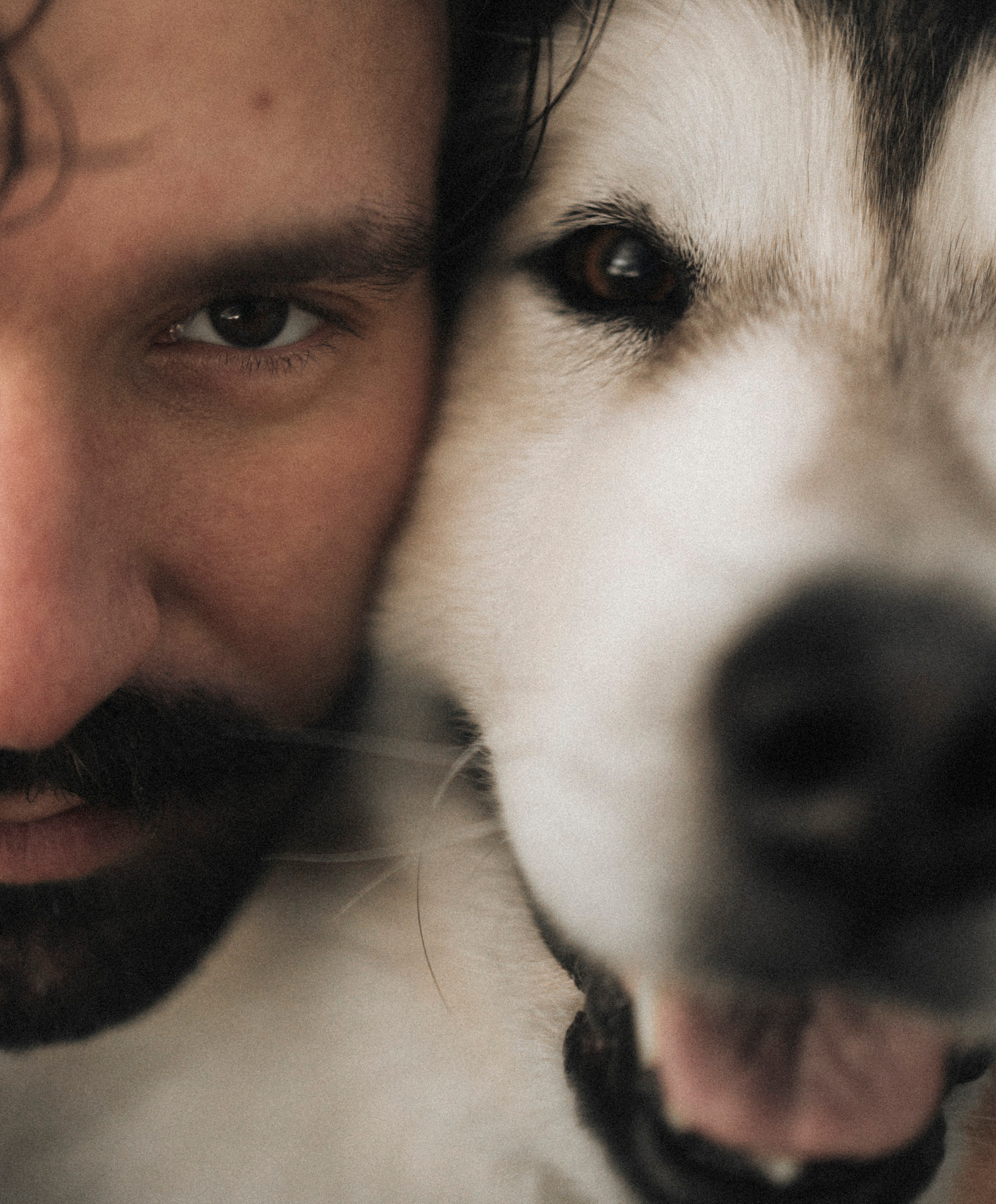 Друг человека. Фотограф Дарья Филатова