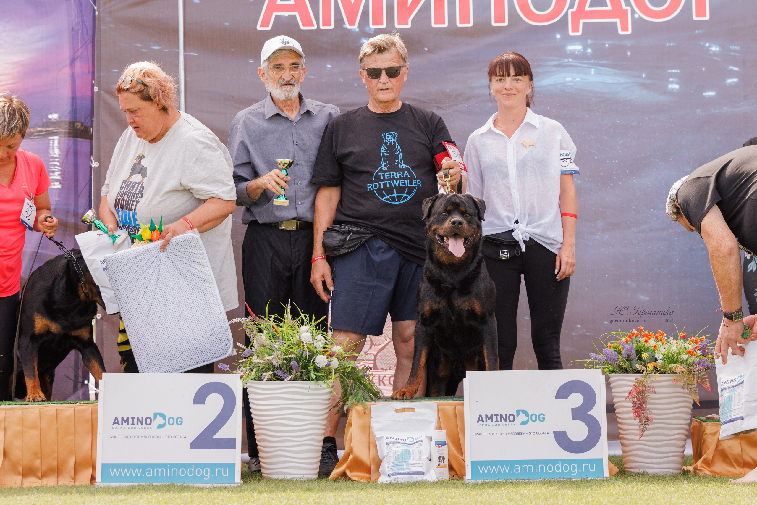Анапа ротвейлеры 14-15.09.2024. Фотограф-анималист Юлия Германика