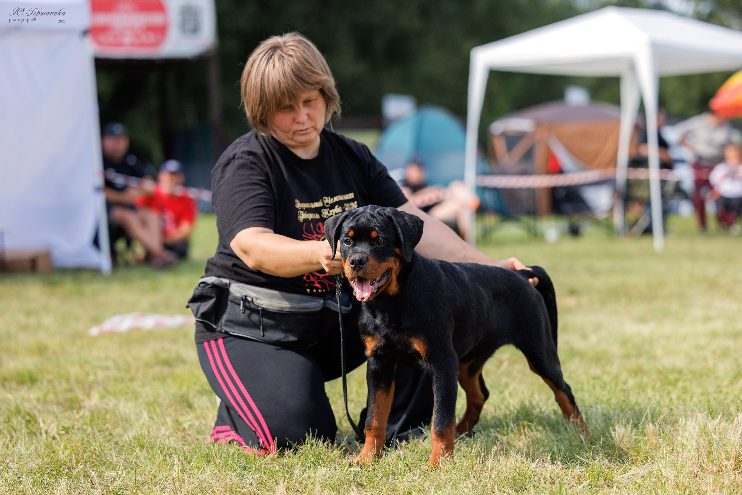 Рязань 2хмоно ротвейлеры 16-17.08.2025. Фотограф-анималист Юлия Германика