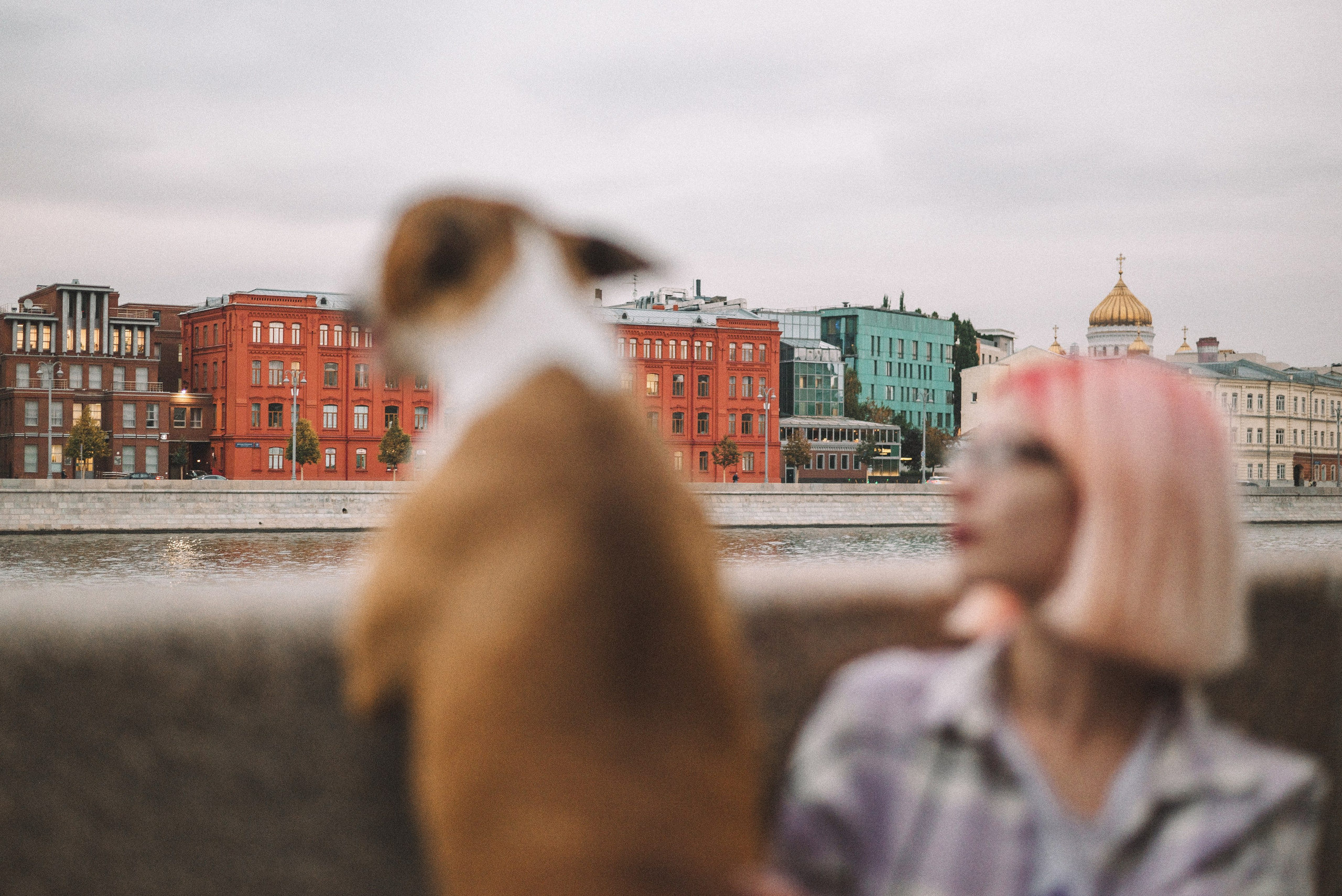 Маша и Рулька. Фотограф-анималист Богданова Полина