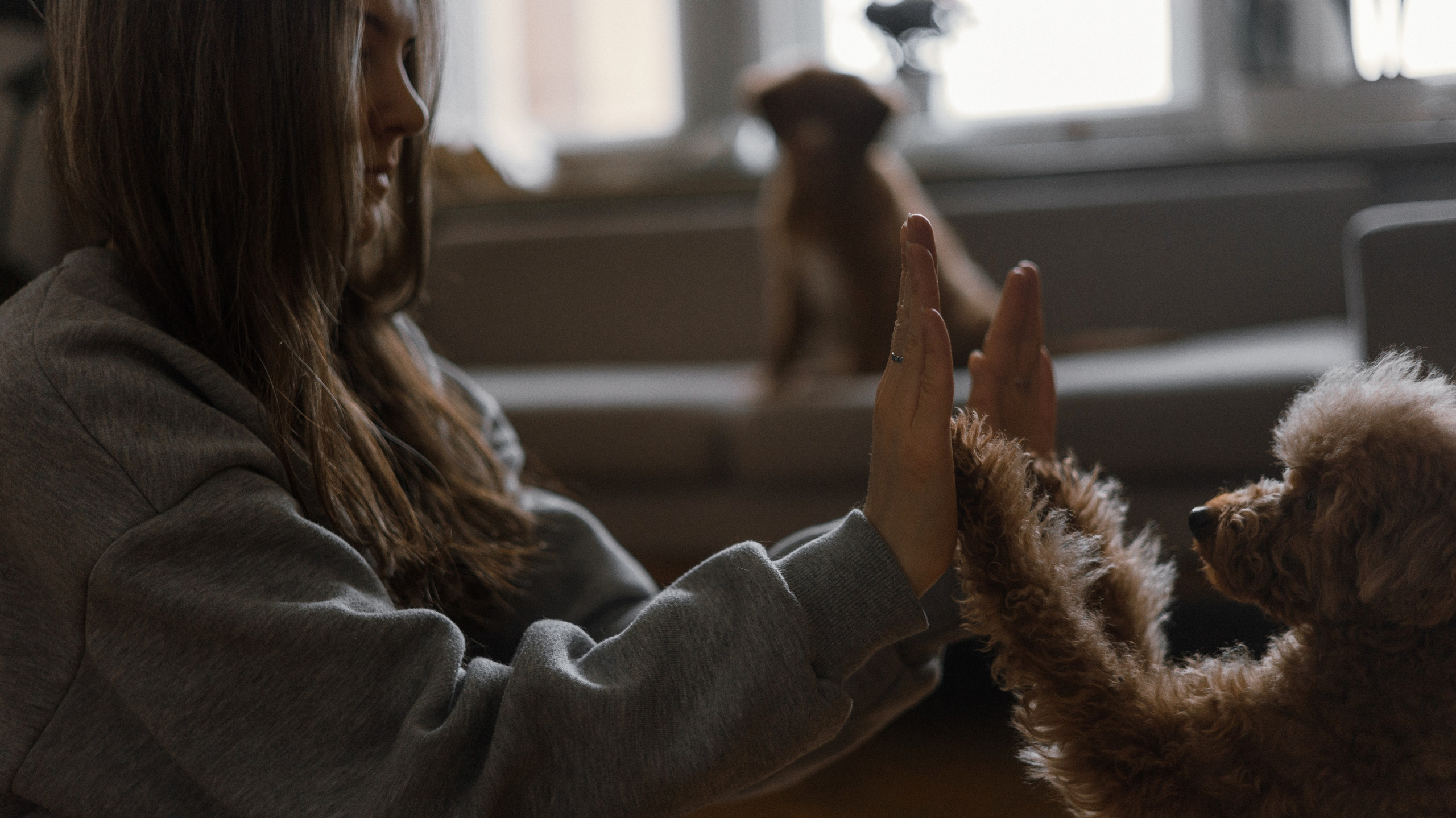 Маша, Одди и Нэвил. Фотограф-анималист Богданова Полина