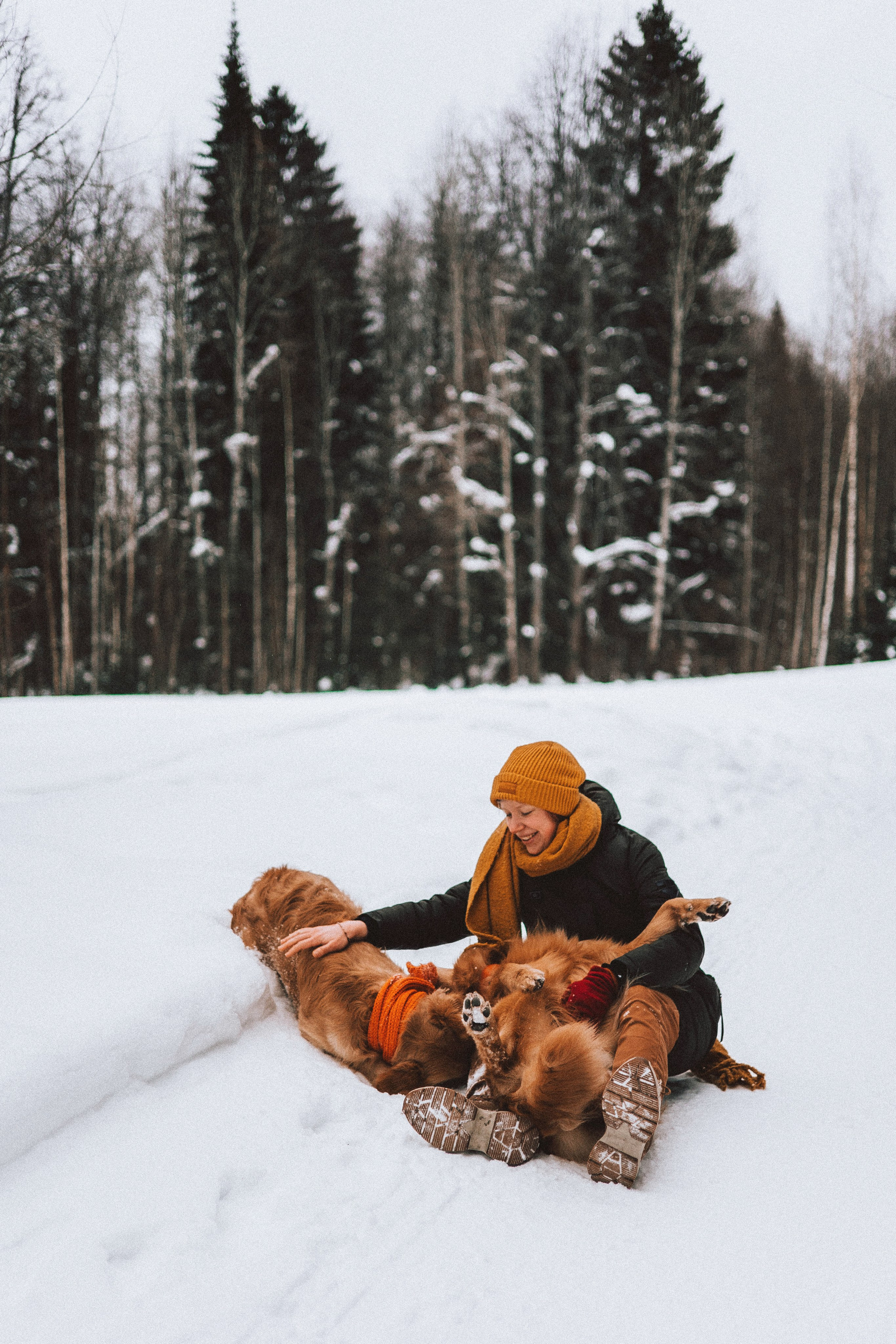Саша, Юля, Грэй и Джой. Фотограф-анималист Богданова Полина