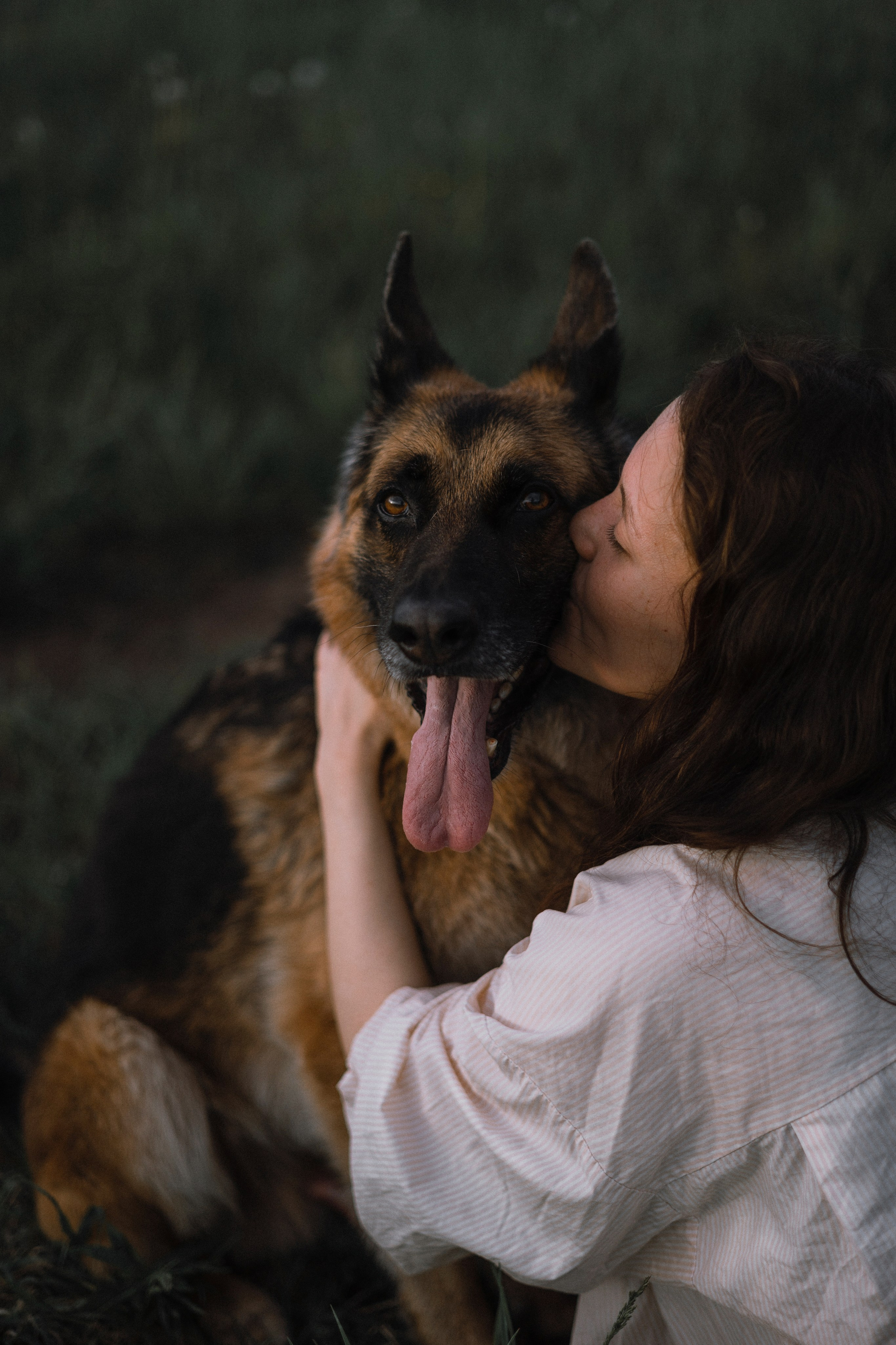 Настя, Шуня, Милка и Тигуан. Фотограф-анималист Богданова Полина