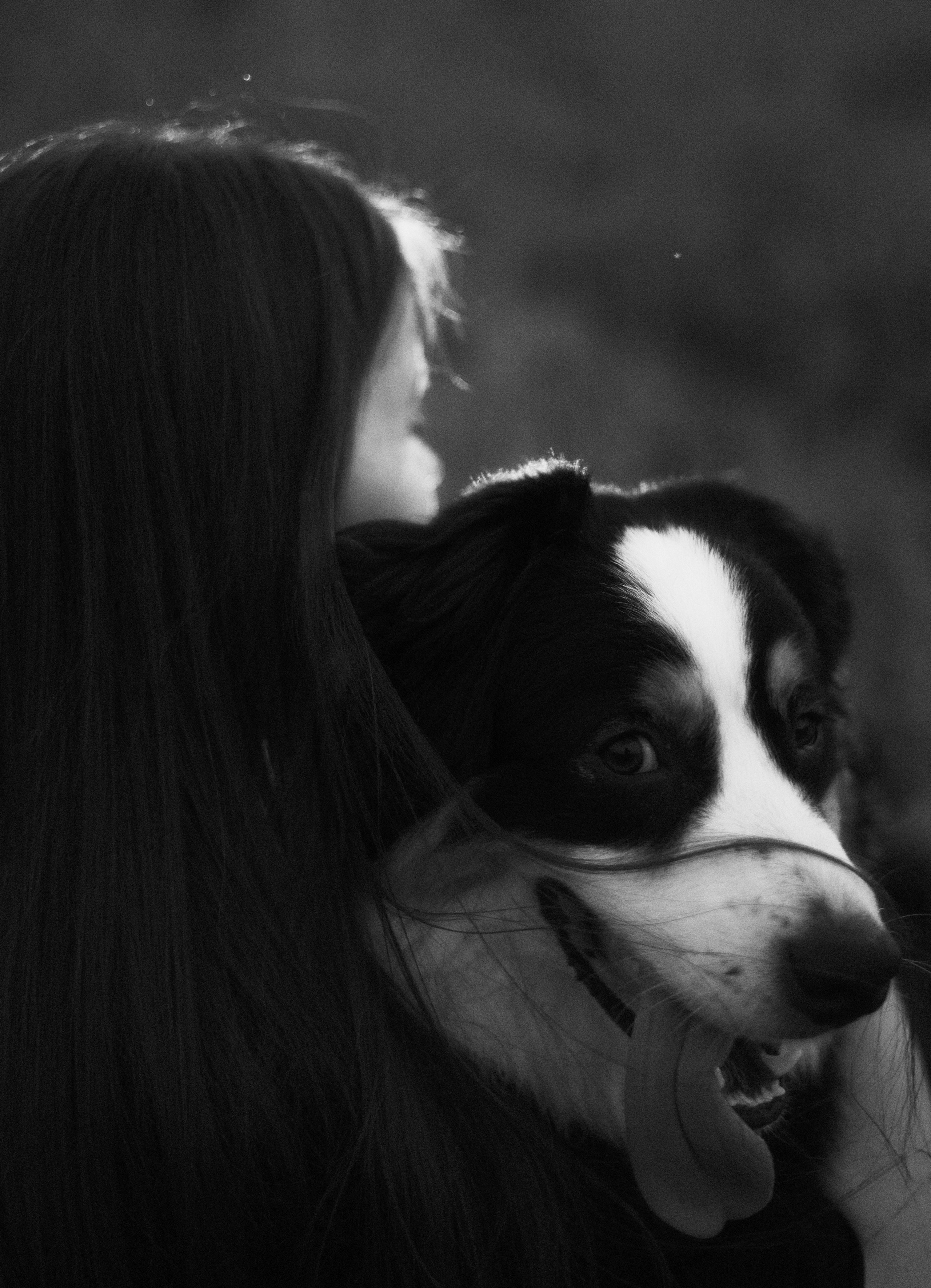 Яна и Уга. Фотограф-анималист Богданова Полина