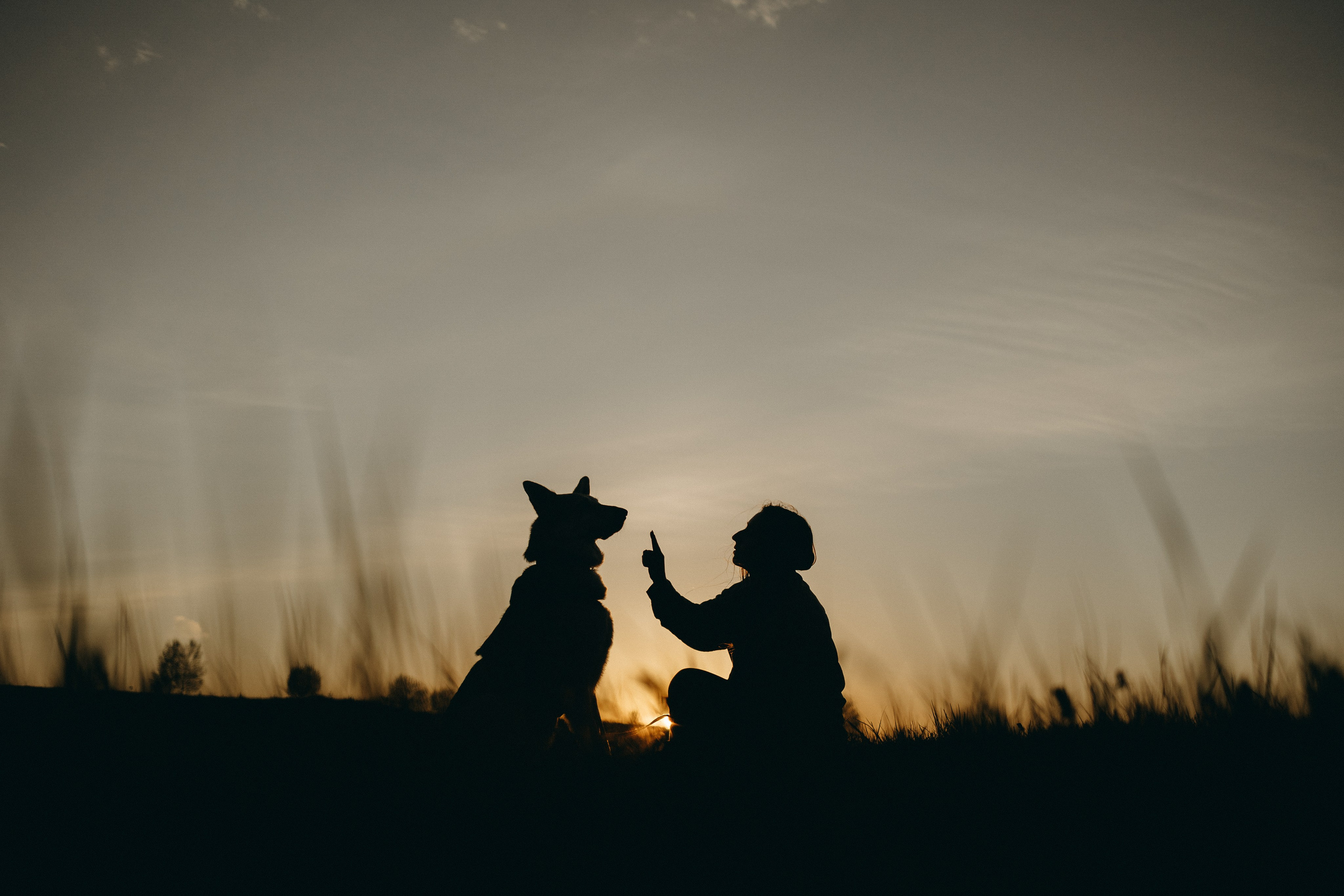 Саша и Зельда. Фотограф — Анималист | Санкт-Петербург