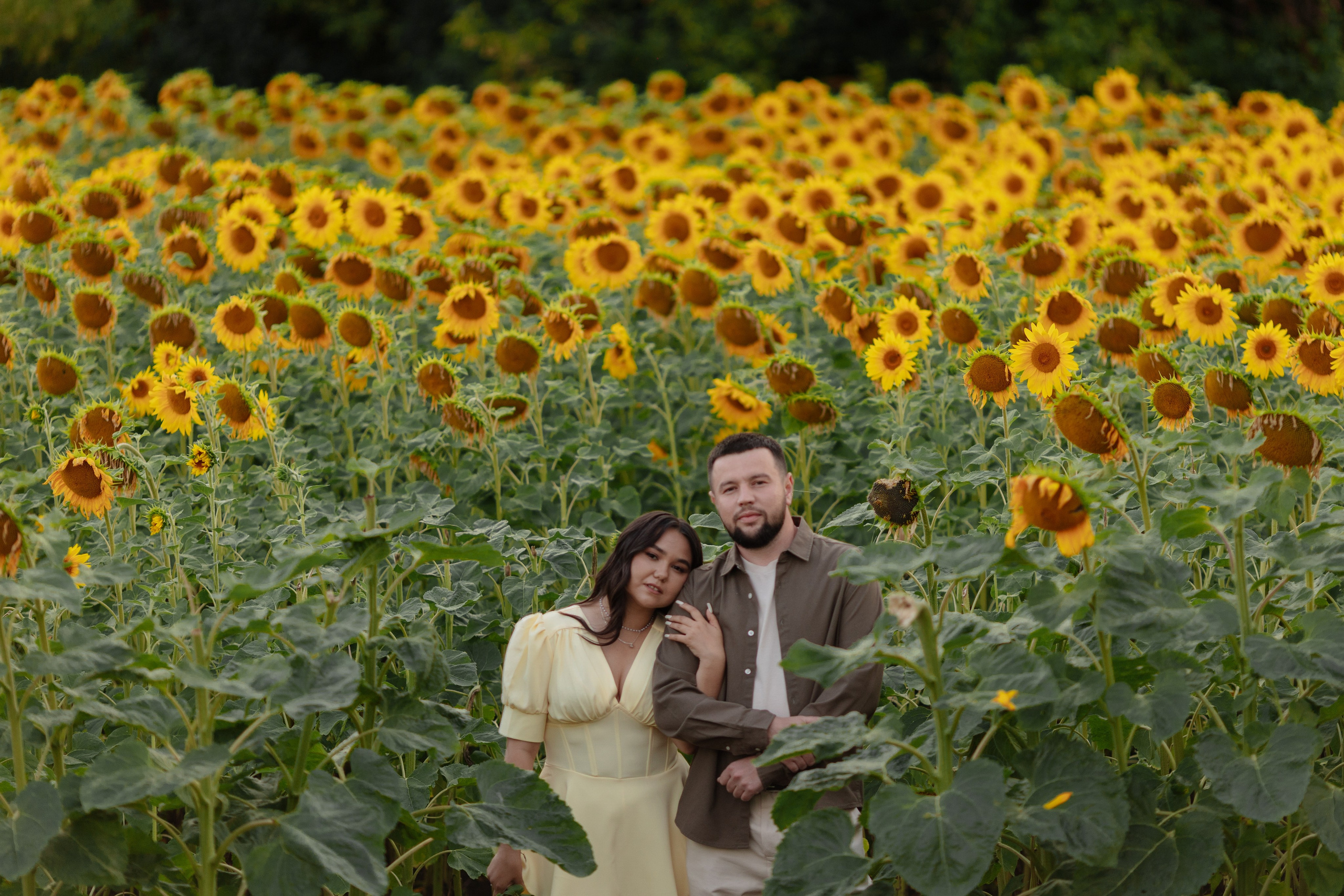 Предсвадебная Подсолнухи. Свадебный и репортажный фотограф г. Чебоксары Евгений Леонидович