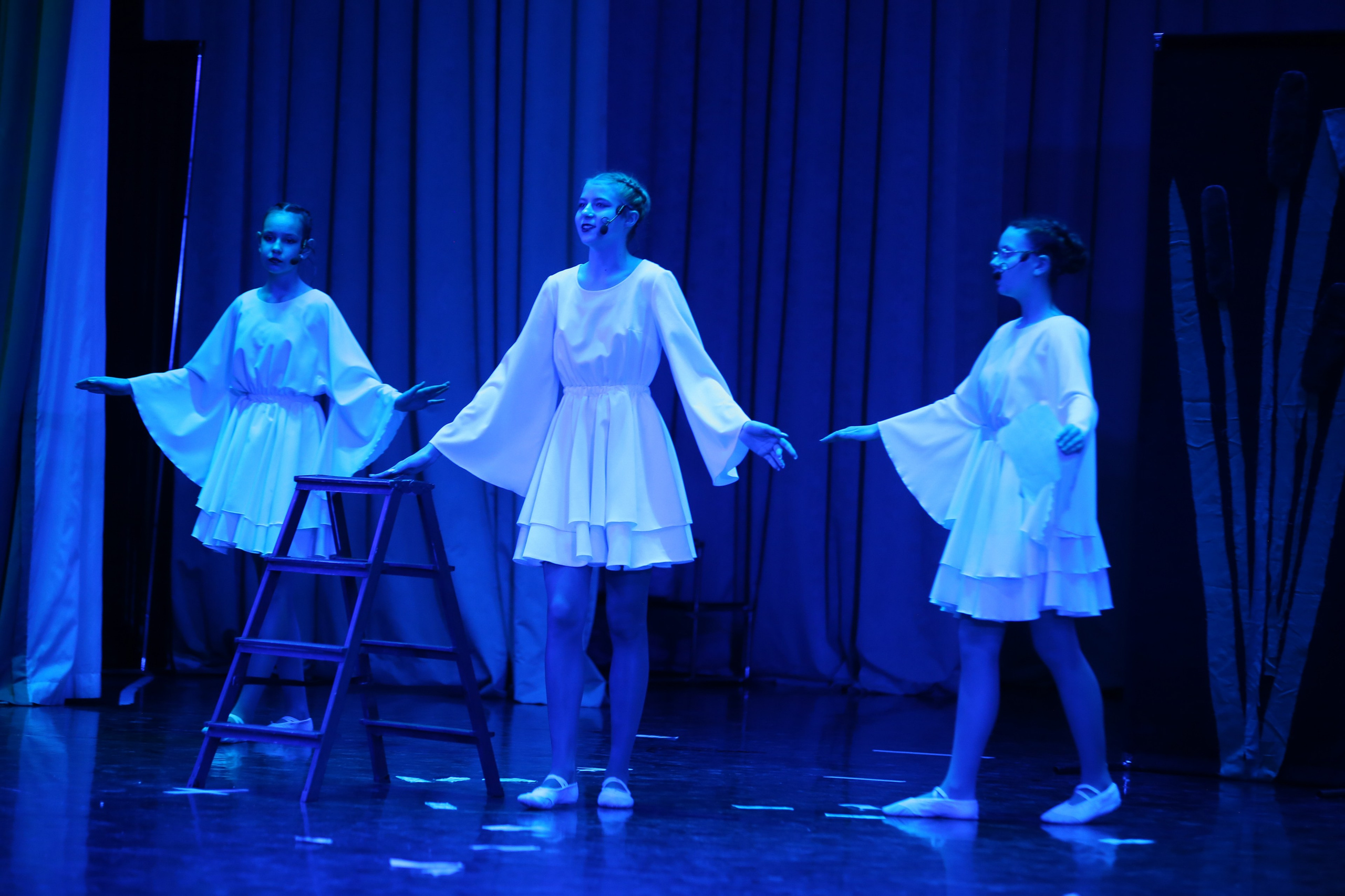 ТС ФАНТАЗИЯ — БЕНЕФИС 25 ЛЕТ. Профессиональный фотограф в Мценске и Орловской области