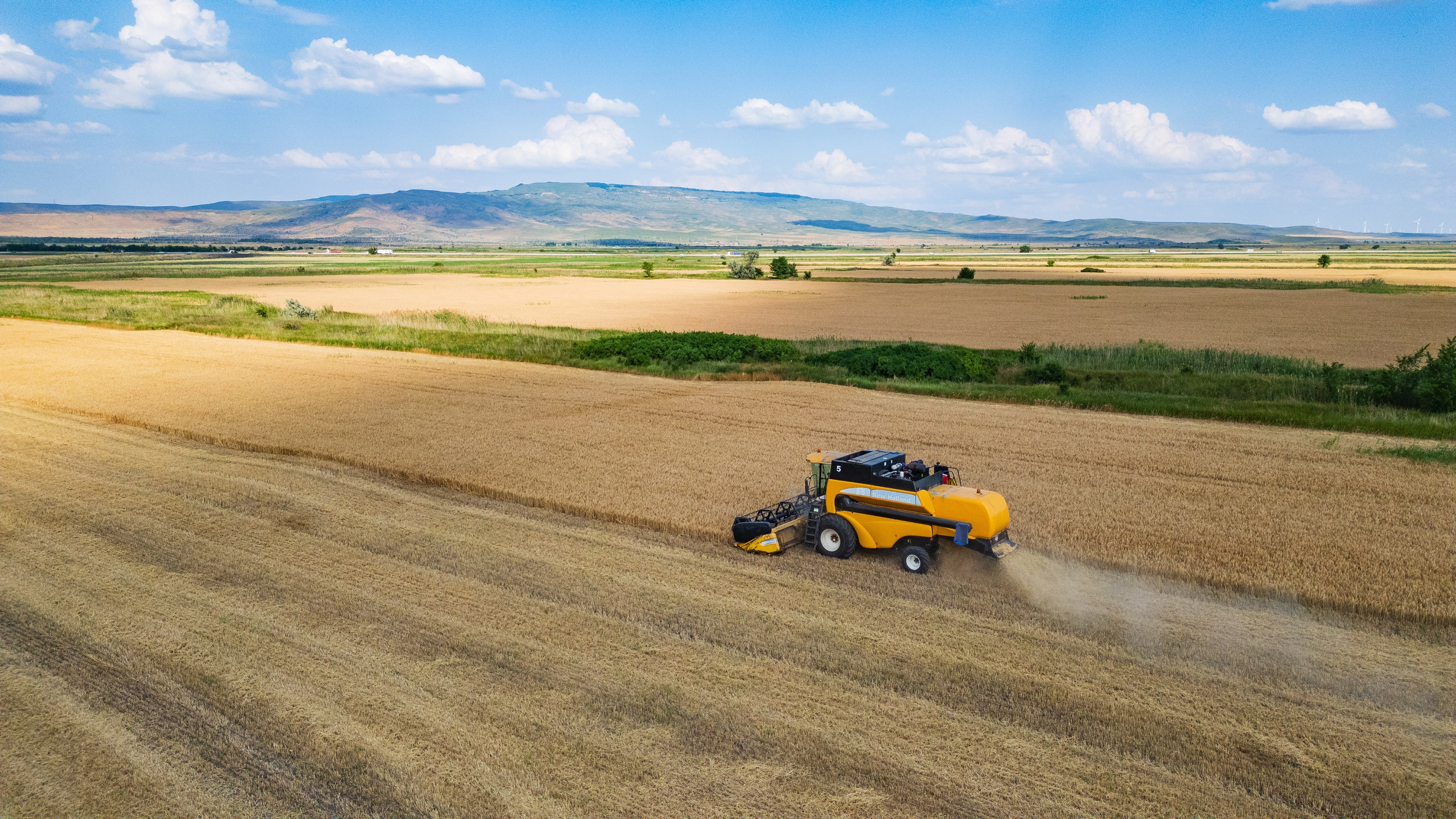 Проекты. Профессиональный фотограф Вячеслав Плацында | Липецк |