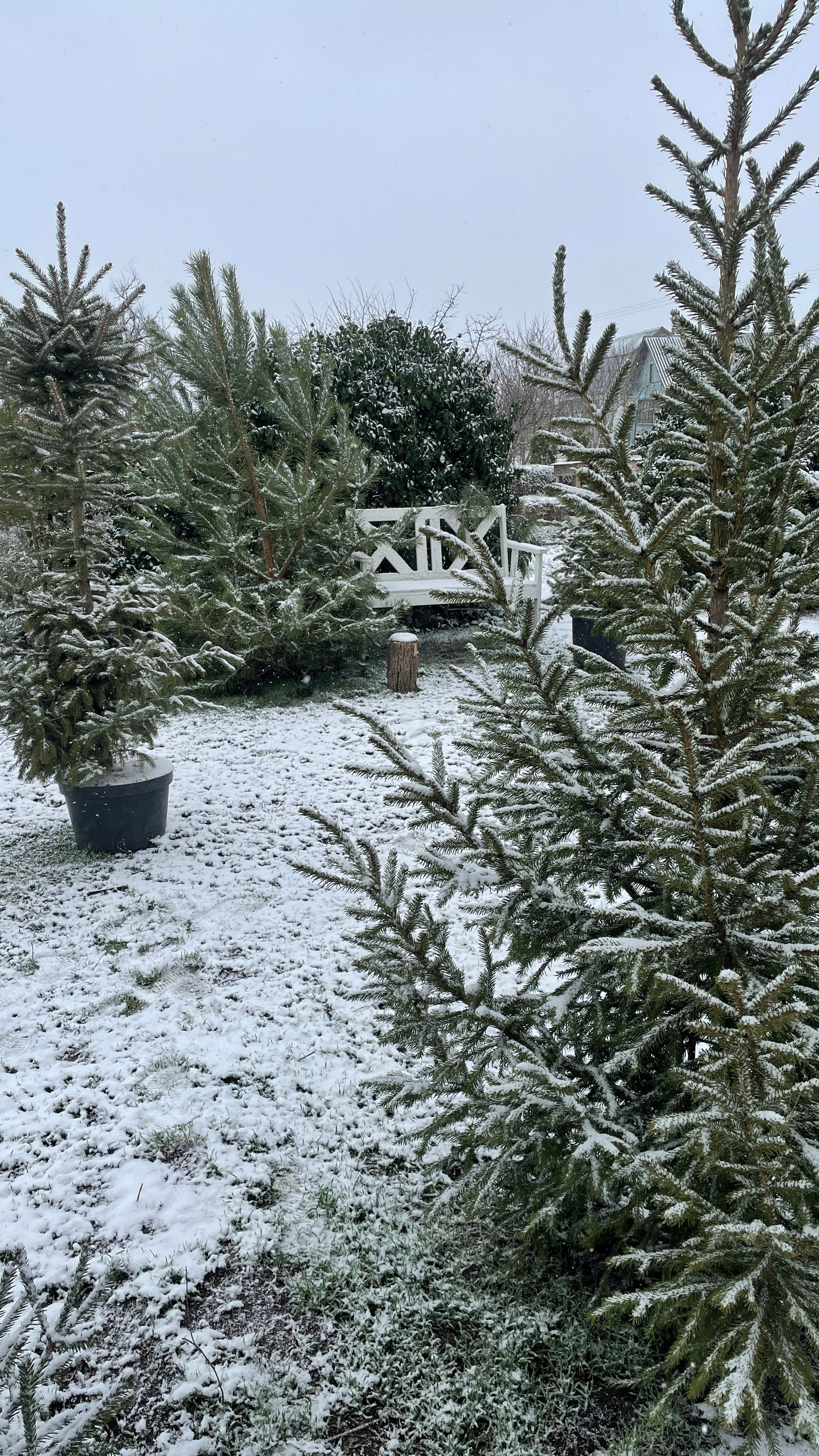 Зима. Фотостудия Натальи Забродской