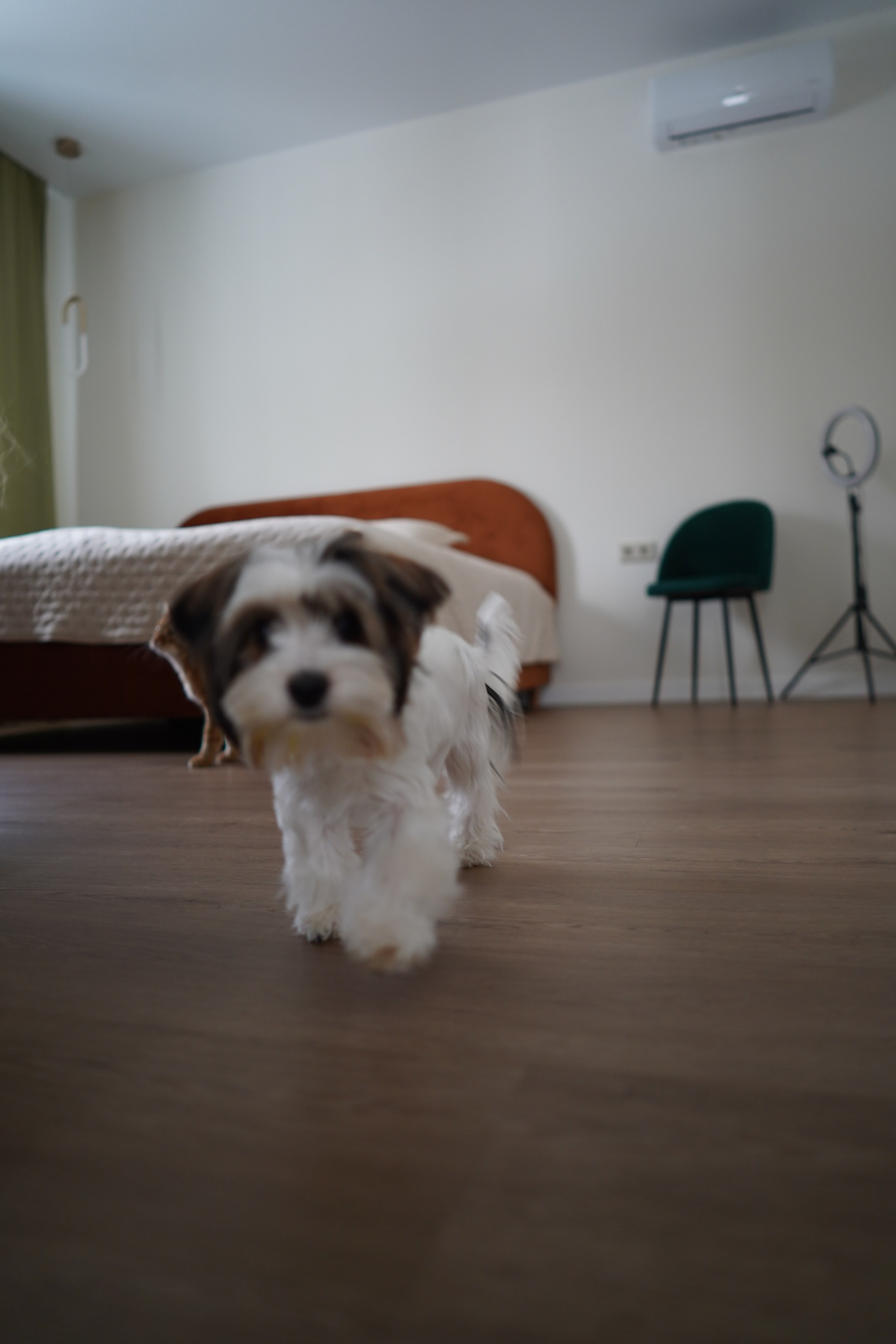 ЖК Приозерный. Das House