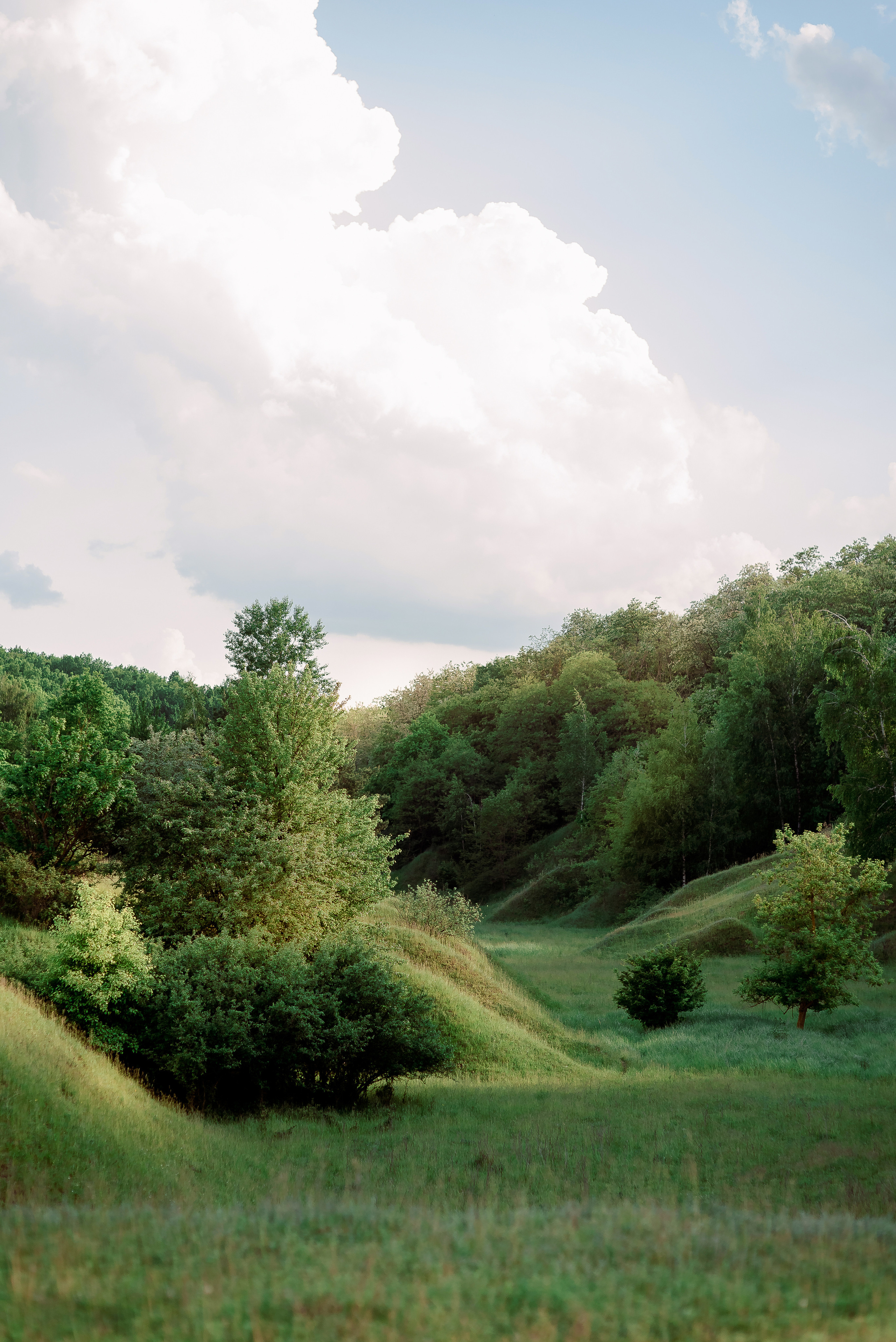 Евгений и Ксения. Свадебный фотограф в Белгороде Косилов Денис