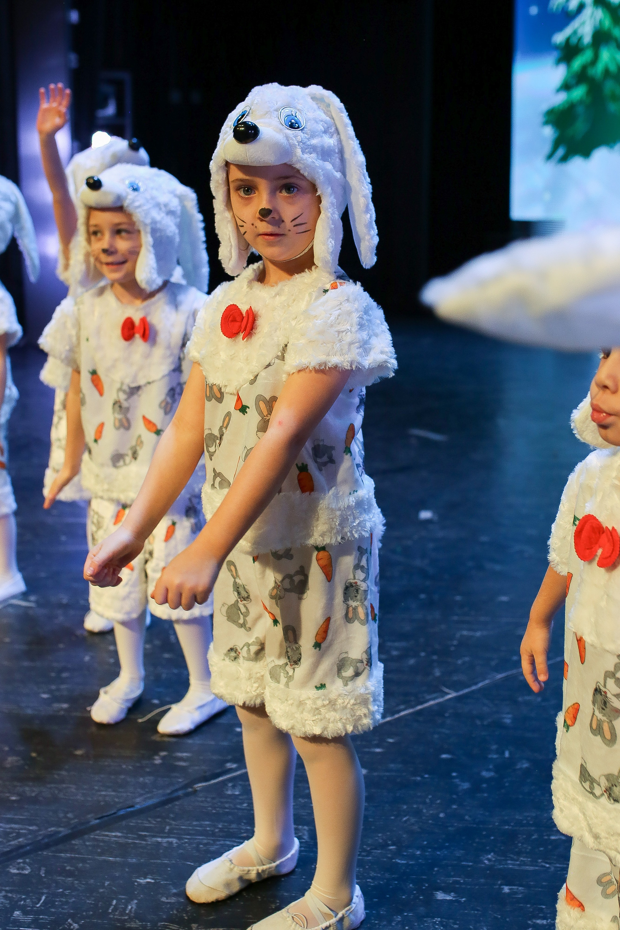 Новогодний концерт