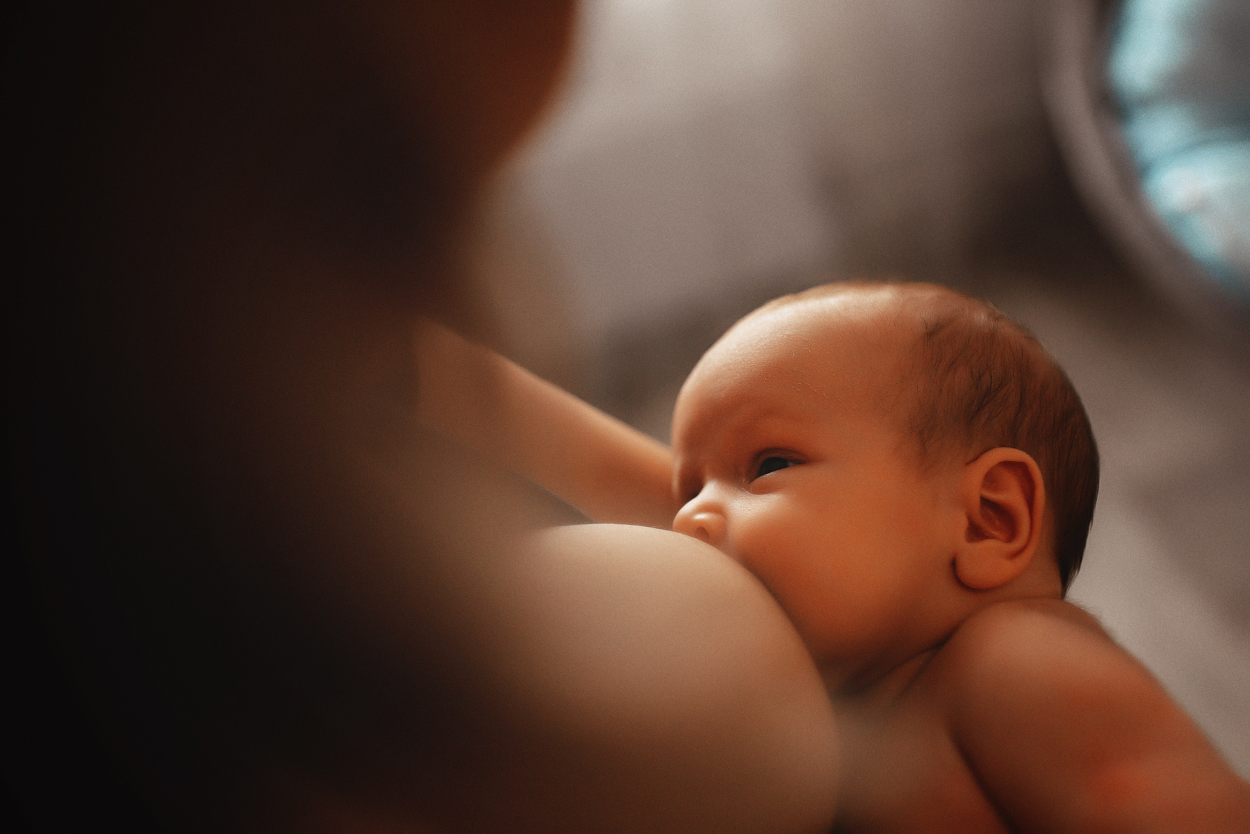 Тасенька. Семейный фотограф в Новосибирске Екатерина Сафронова