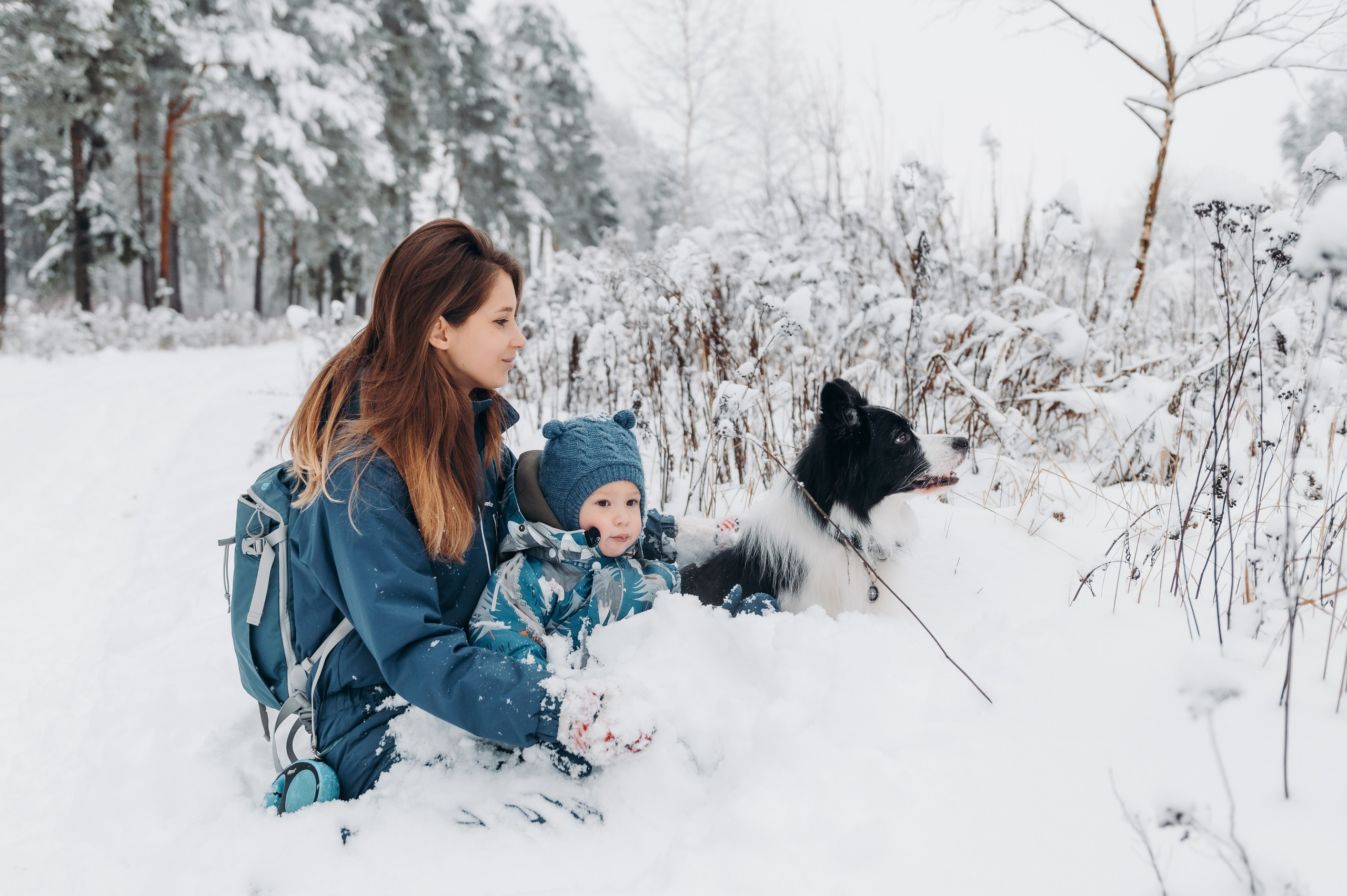 Снежная прогулка. Главная