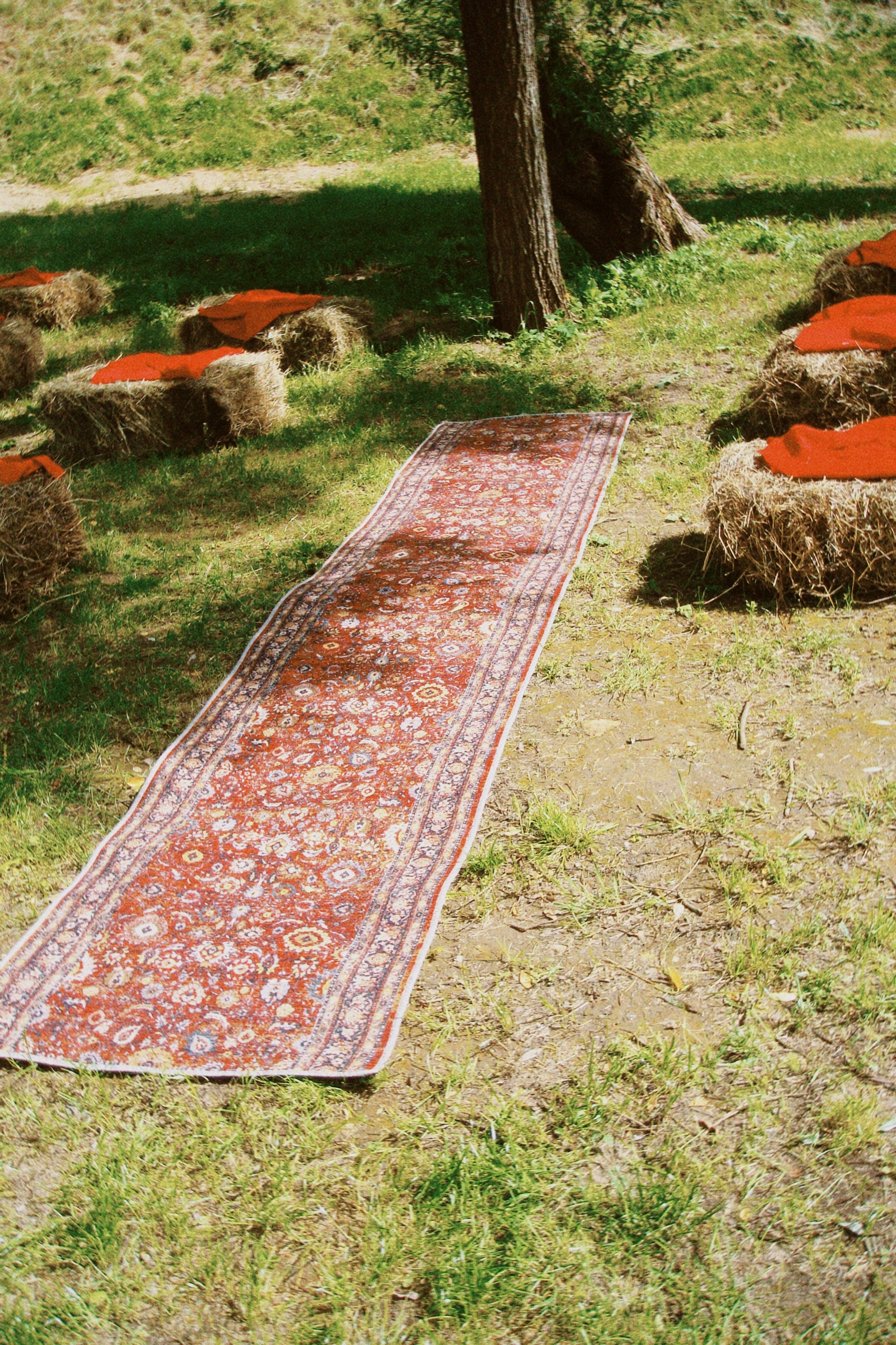 Эхо любви. Свадебный фотограф Елизавета Беляева