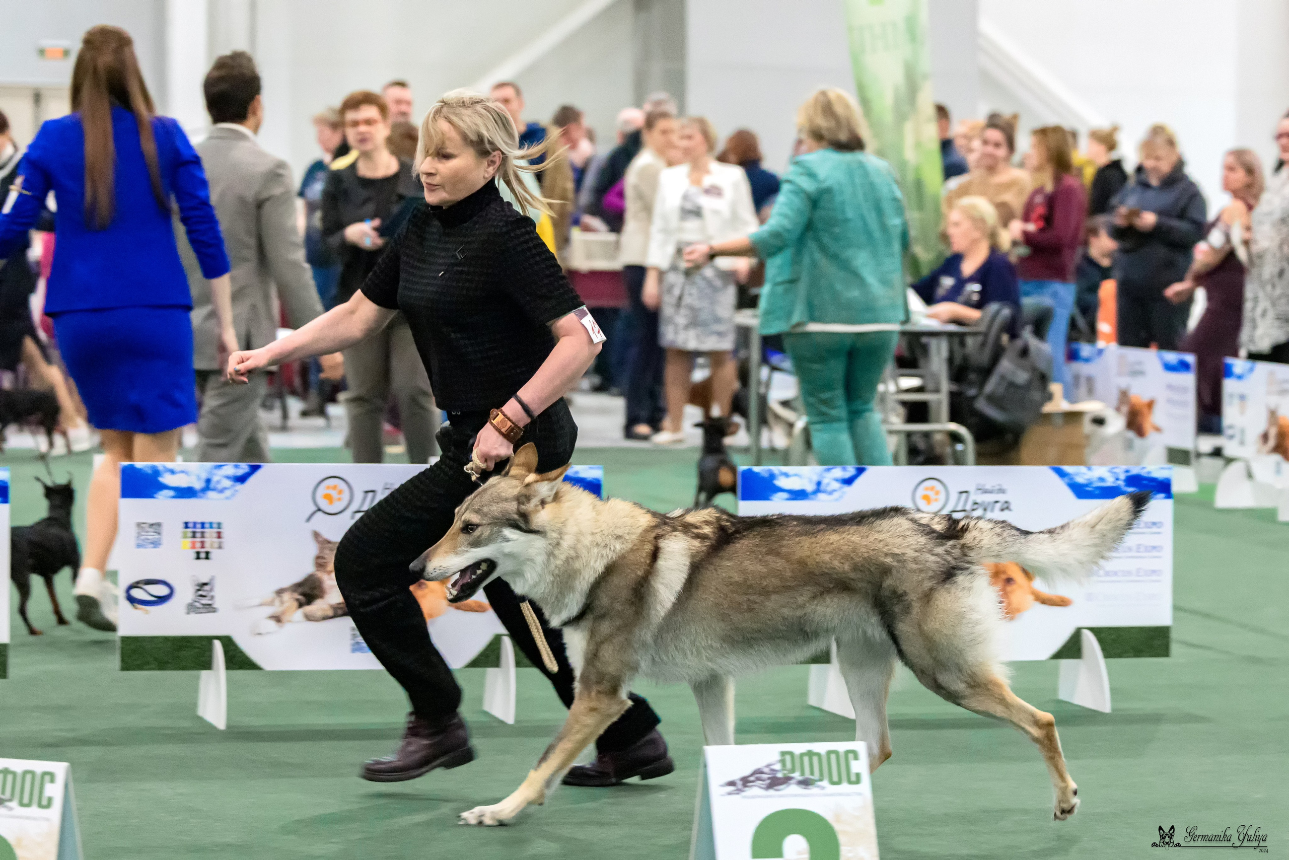 Сабанеевка 26-27.01.2024. Фотограф-анималист Юлия Германика