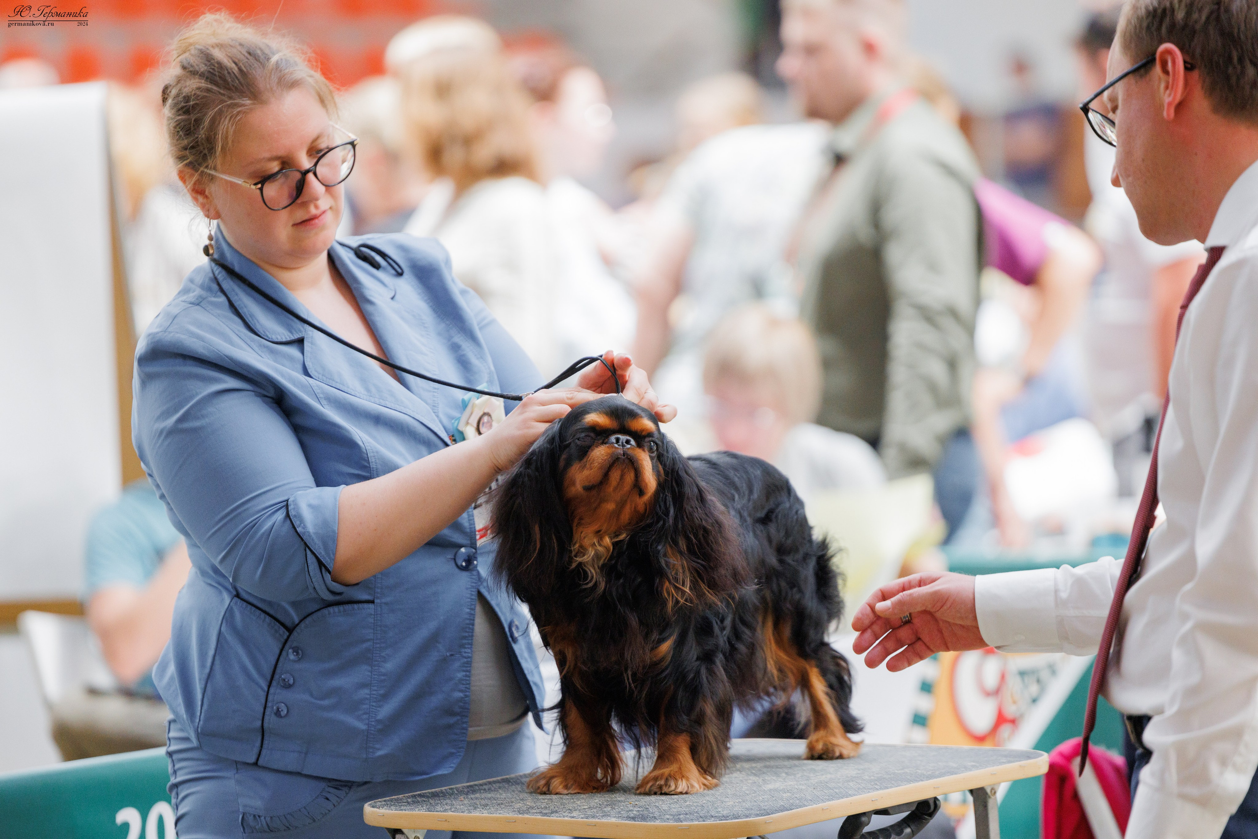 РОССИЯ 8-9.06.2024. Фотограф-анималист Юлия Германика