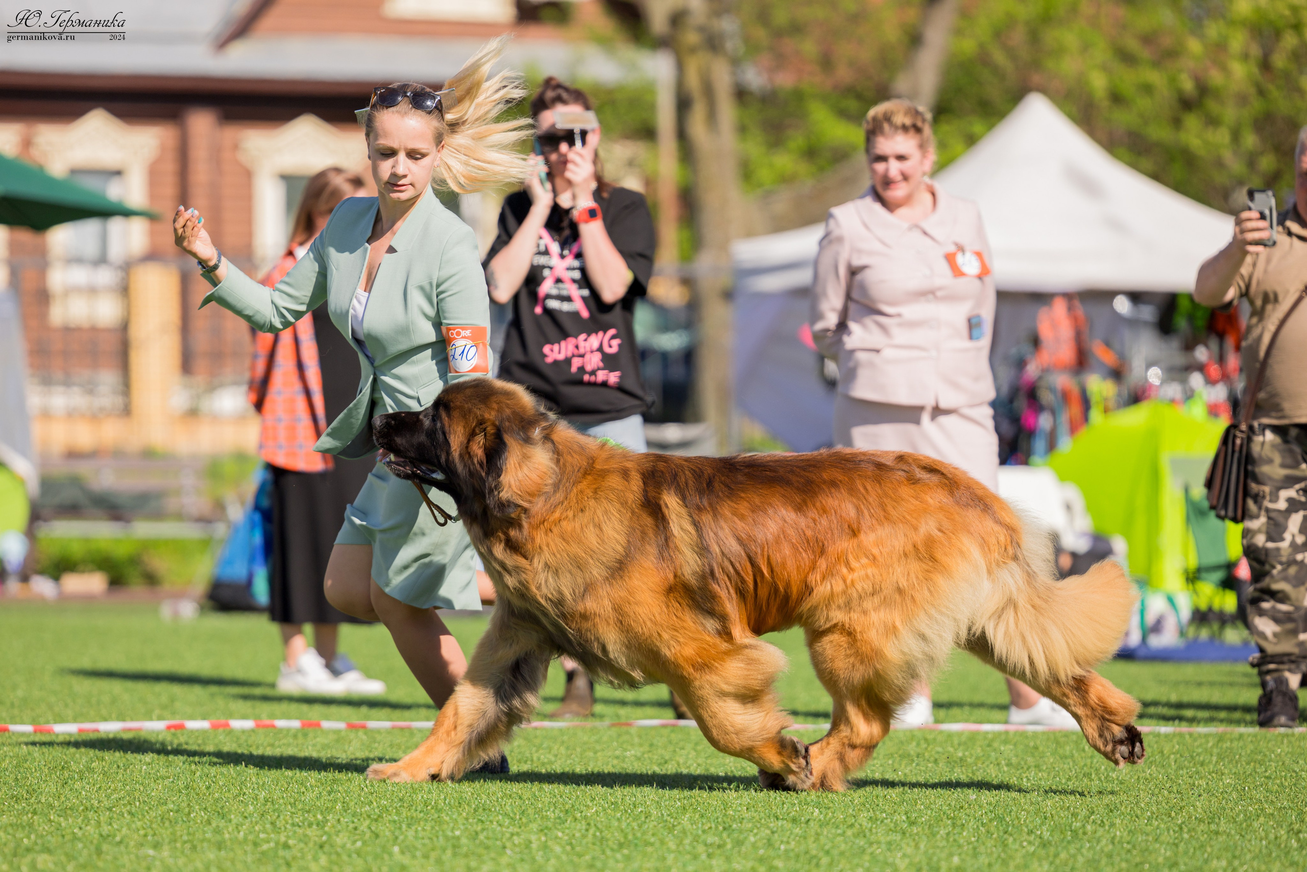 Суздаль 18-19.05.2024. Фотограф-анималист Юлия Германика