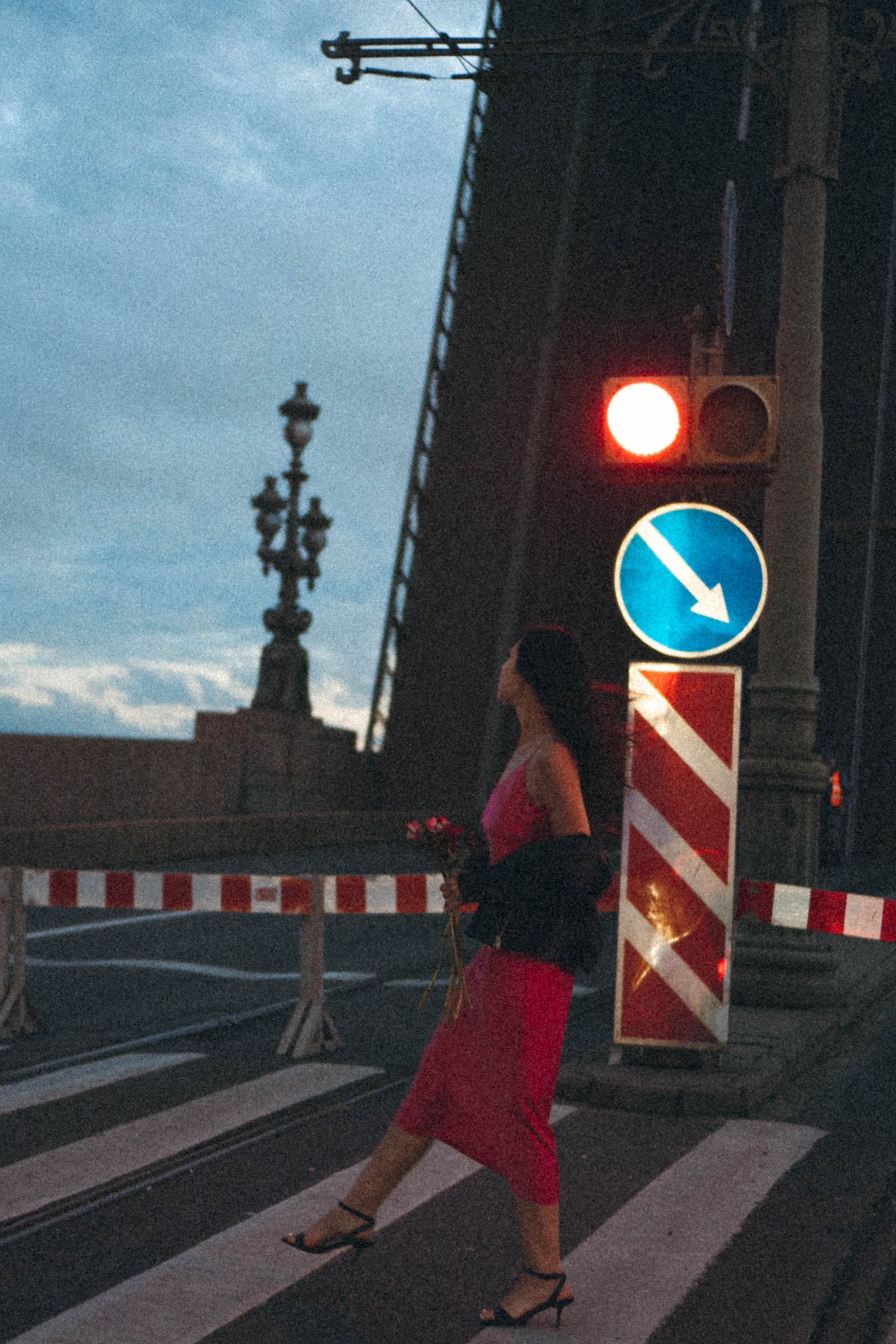 Ночная серия. Профессиональный фотограф, Санкт-Петербург — Виктория Богомолова