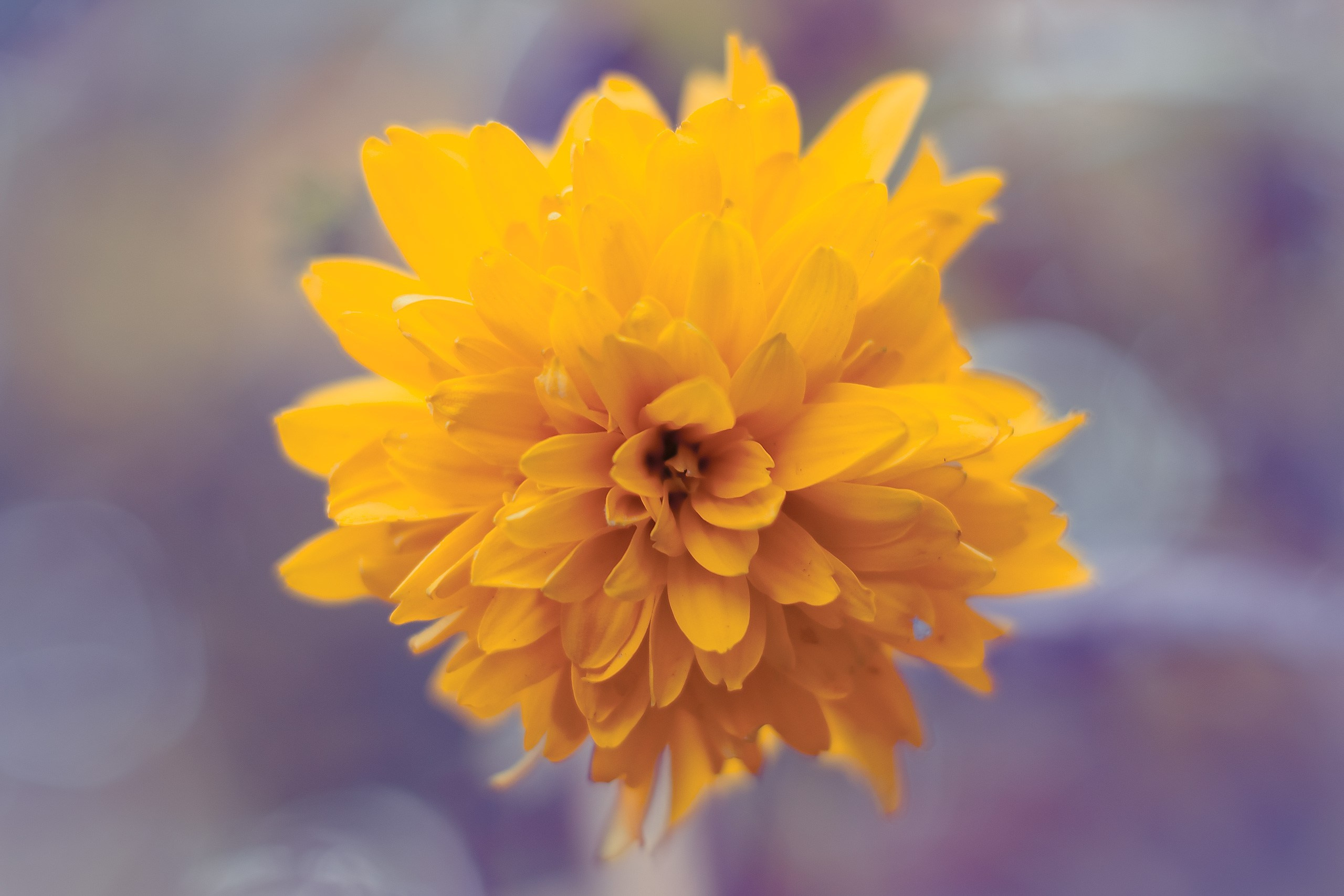 Мимолетность мгновений. Аmat Victoria Сuram