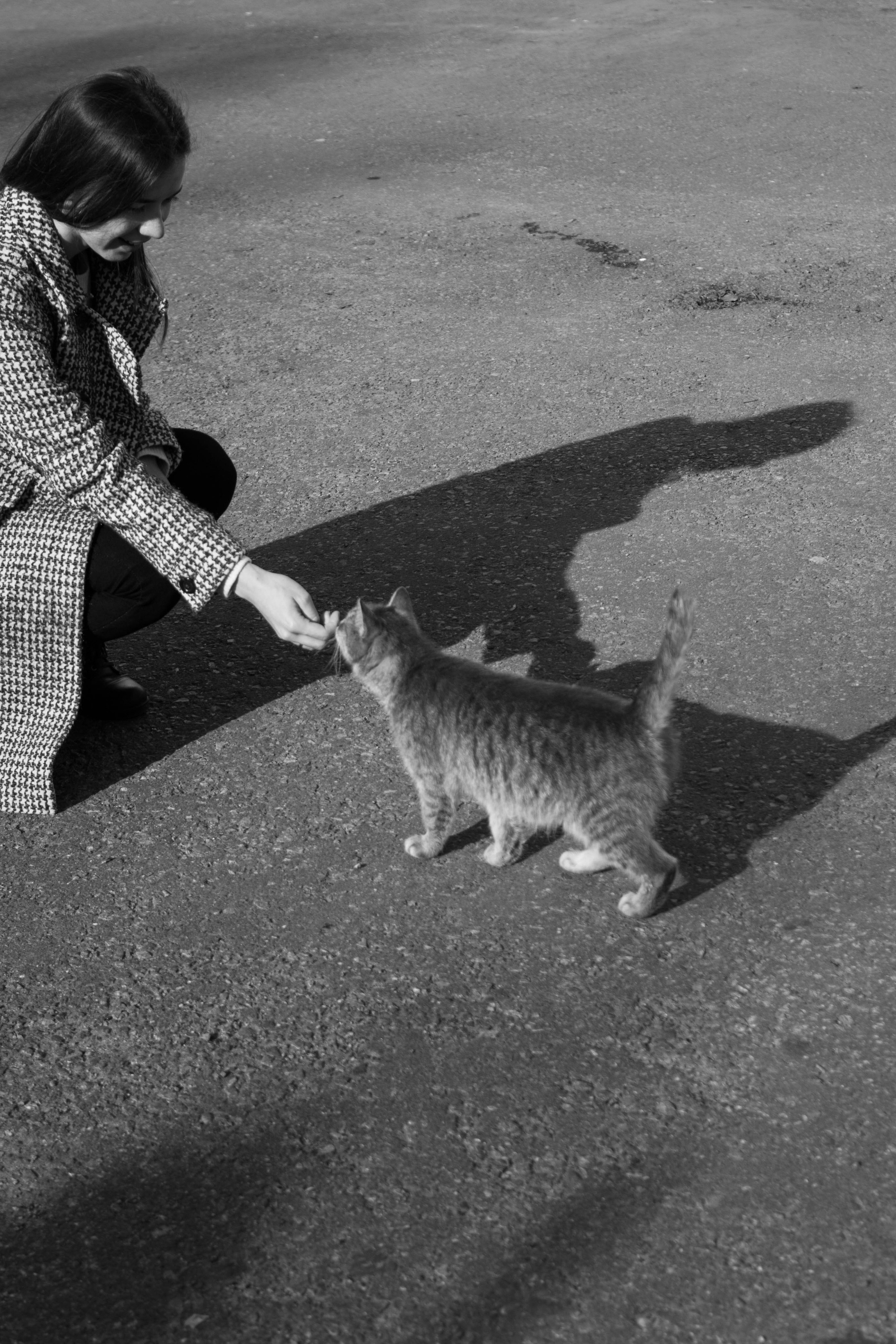 Черно-белая прогулка