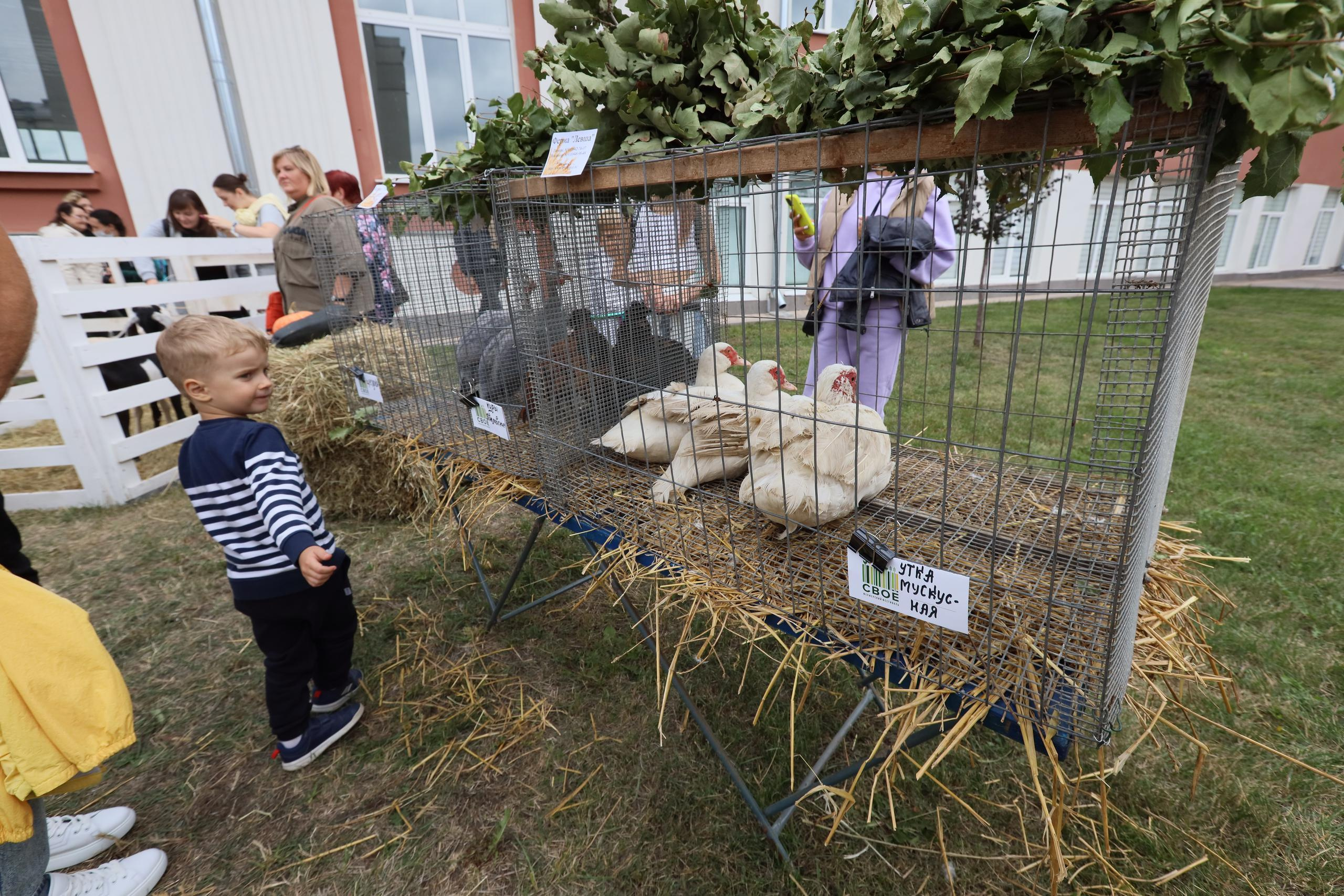 Туле 875 лет. Площадь Ленина, Казанская набережная. Октава. Муз. Вересаева. Фотограф в Туле Крупский АнДРей. Фотостудия «КАДР71» в Туле