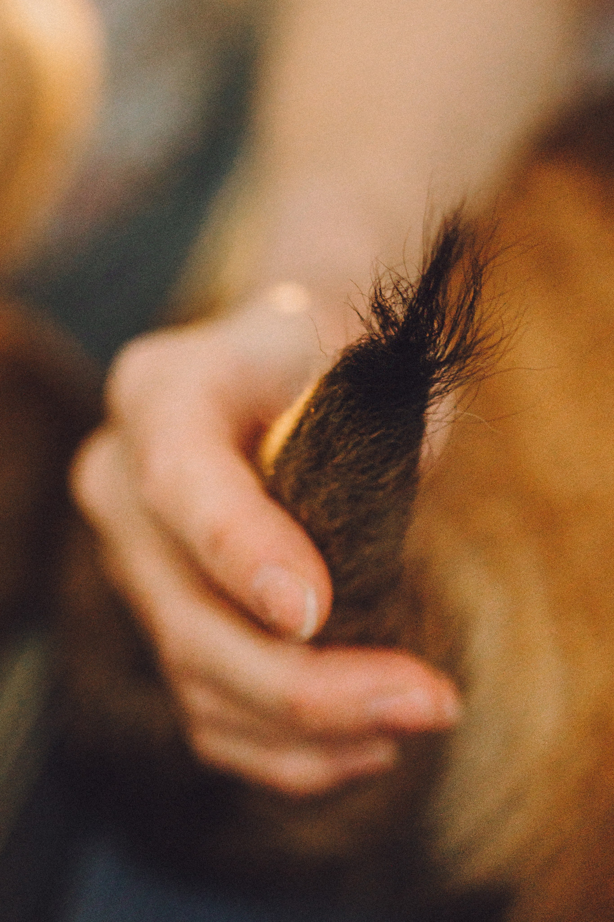 Ира, Андрей, Бэлла и Панда