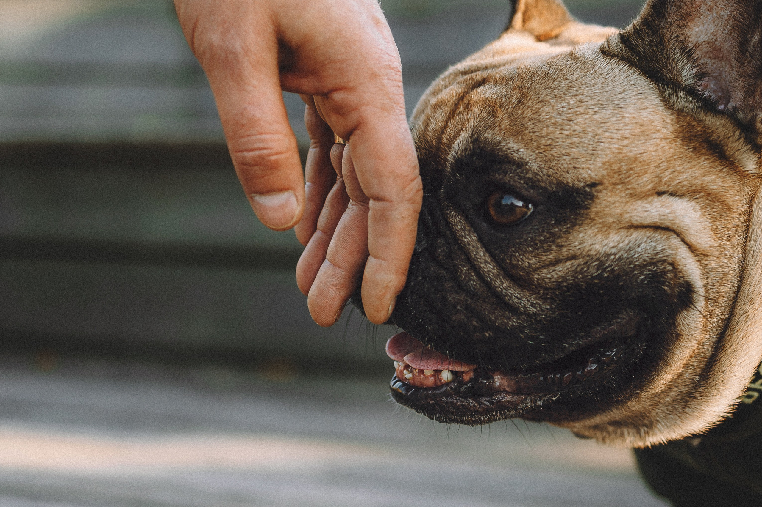 Настя, Женя и Хонор