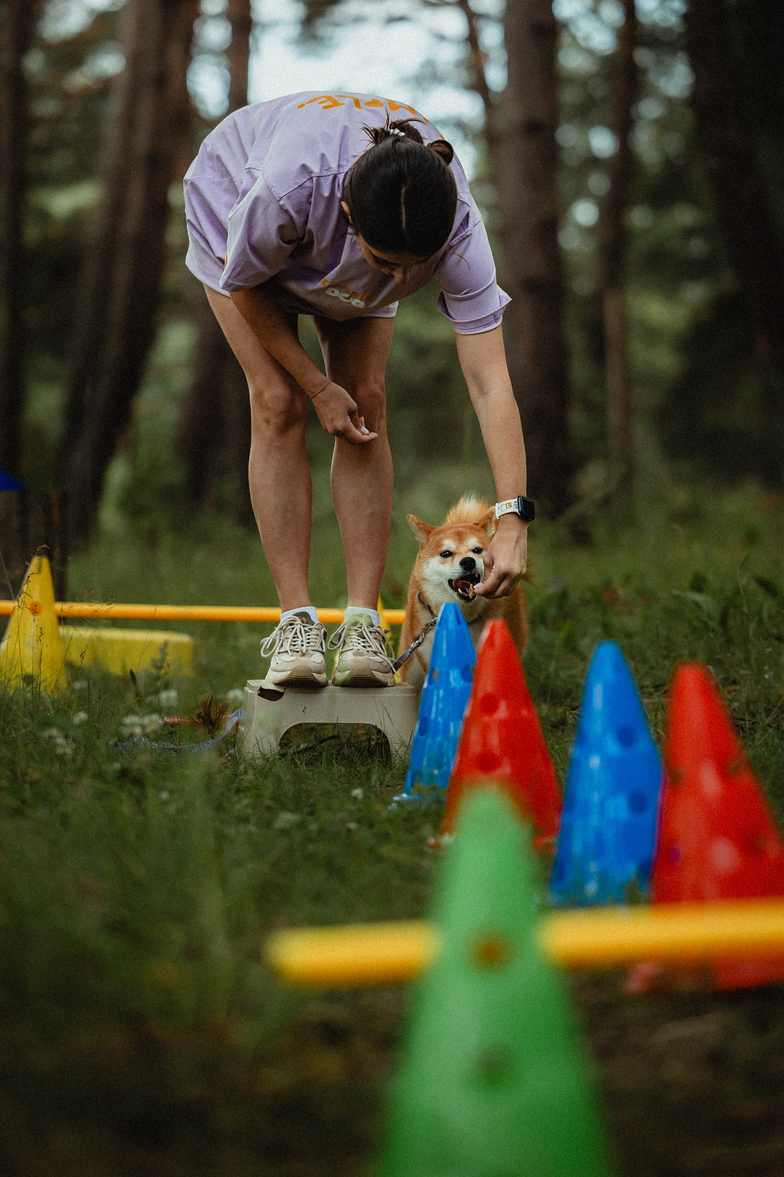 Выездной дог-тренинг от школы «Шерсть имею»