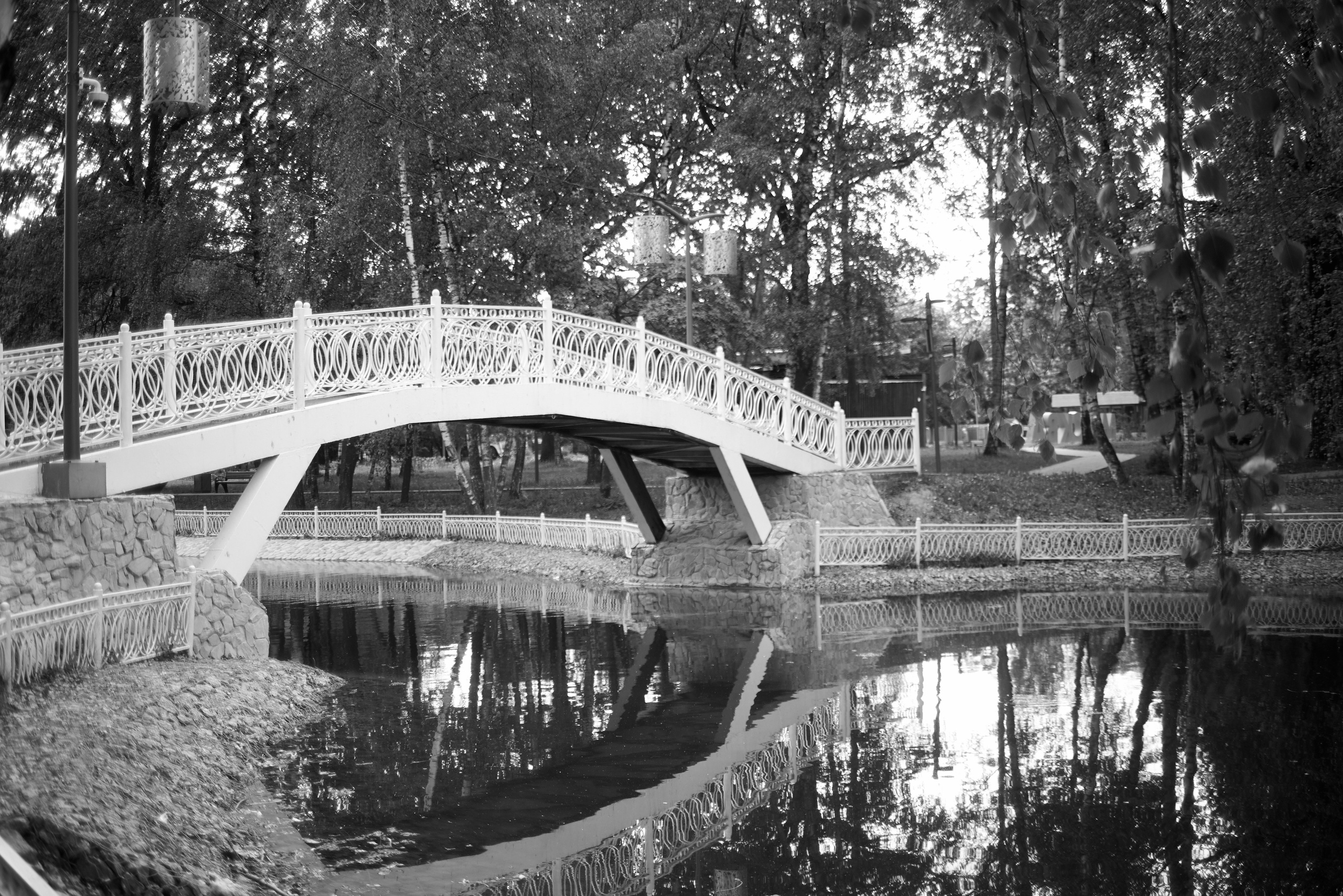 Пикториализм в природе. Сайт фотографа Виталия Дени