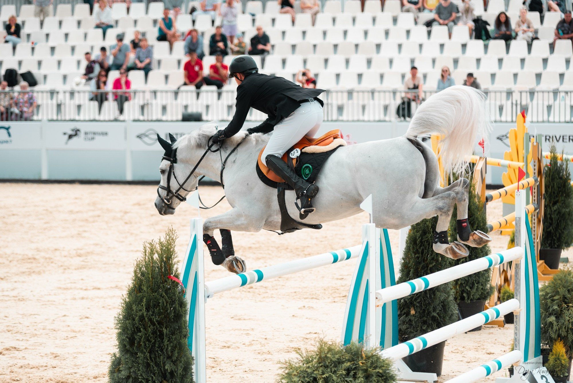 BITRIVER CUP 2023. Конный фотограф Куракина Дарья • Фотосессии с лошадьми