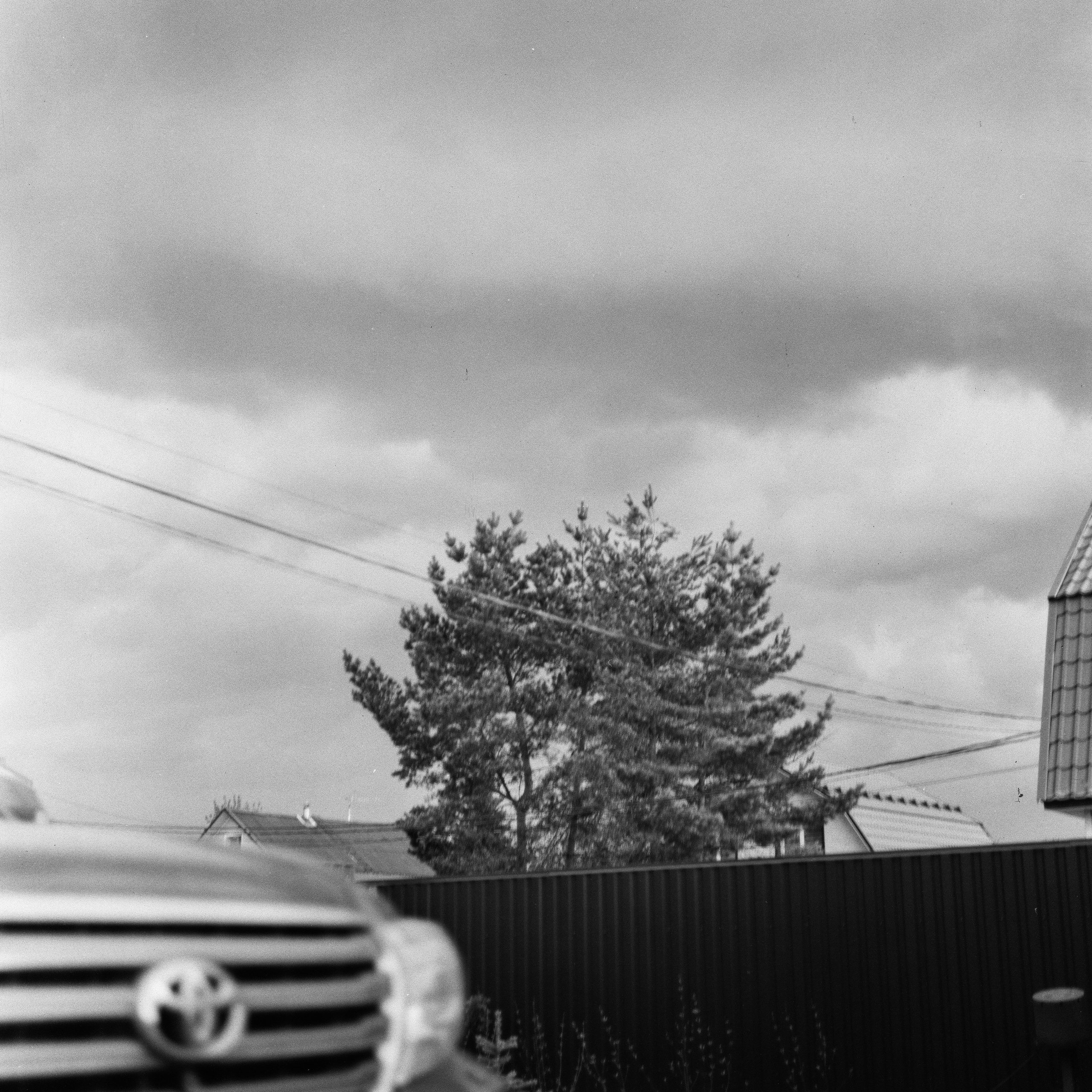 Zanza Bronica S2A — Nikkor-P 75 mm f2.8 | Shanghai P3 100 | Давыдовское 17 мая 2025 года