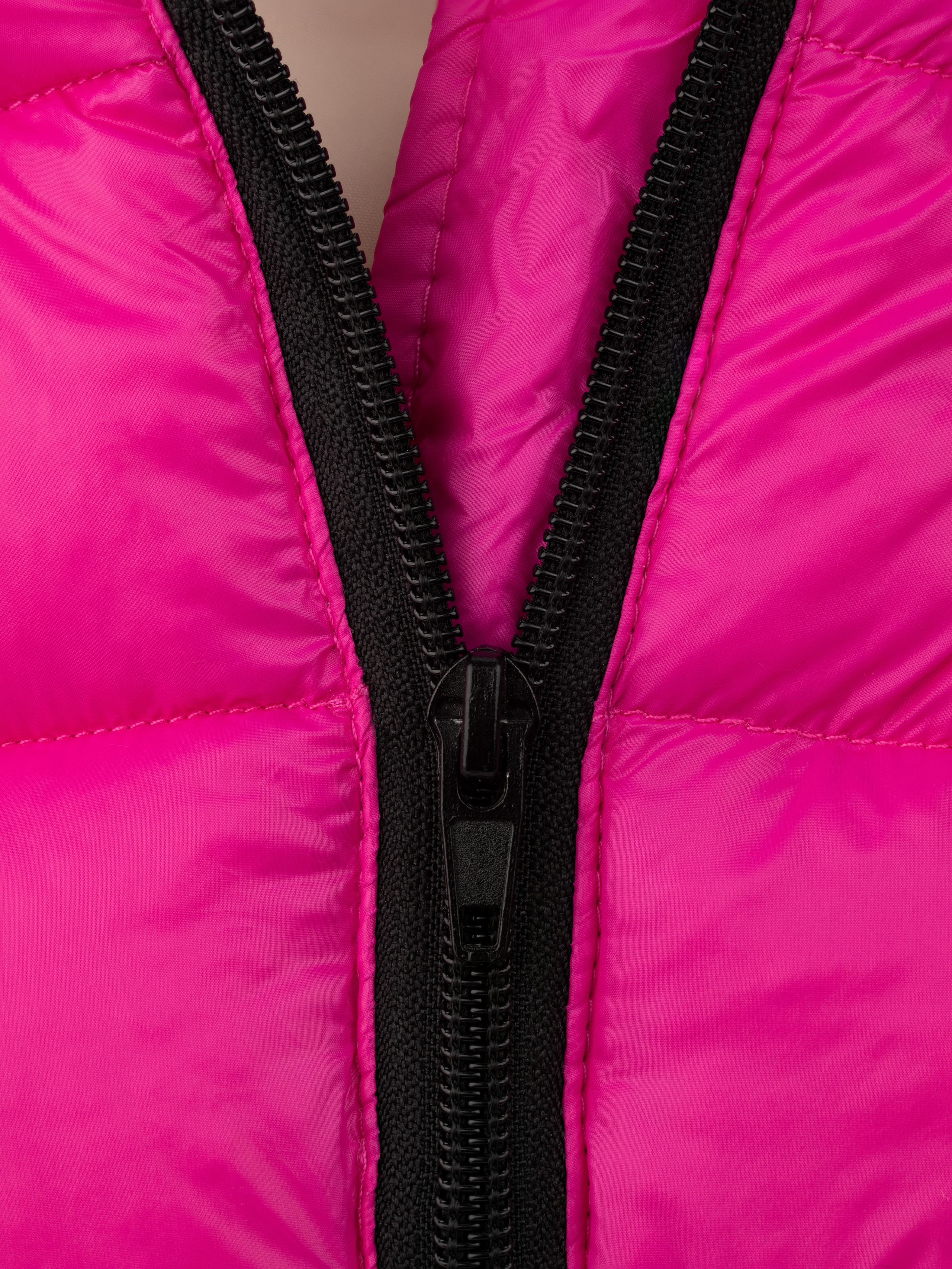 Товары для животных. Предметная фотосъемка. Москва