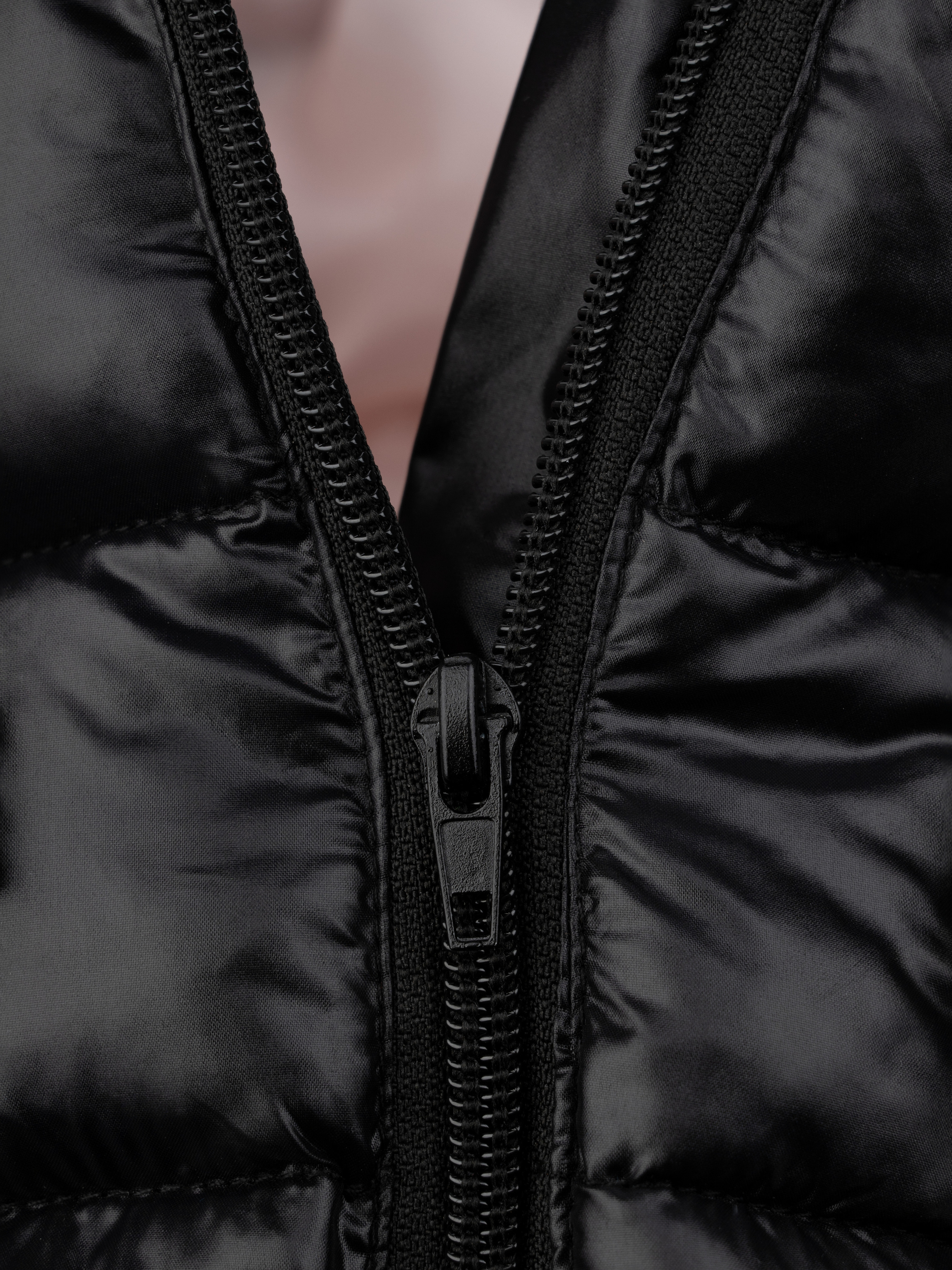 Товары для животных. Предметная фотосъемка. Москва