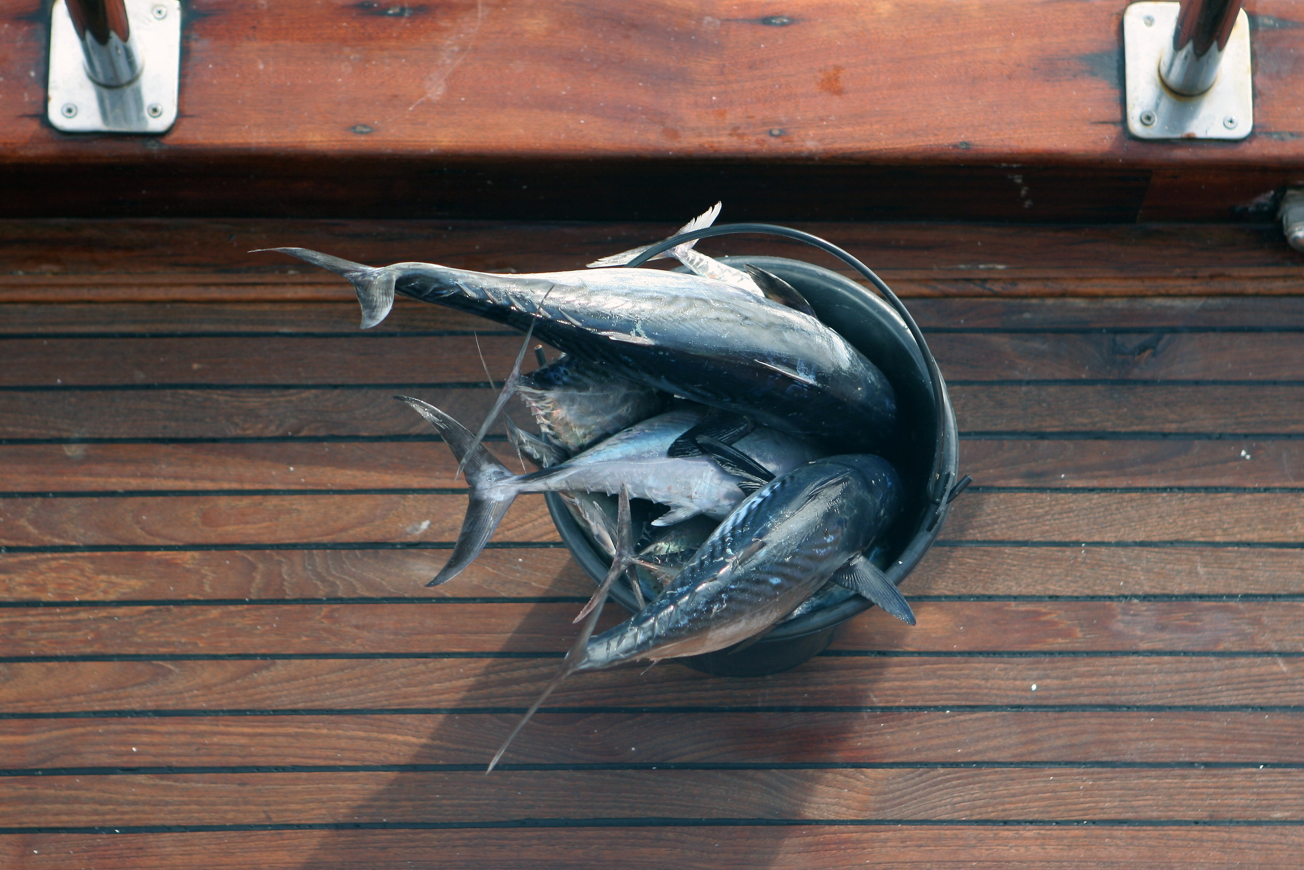 Мальдивы. Фотография, ретушь, сканирование, восстановление старых фото, интерьерная съёмка, студия. Данилов Александр, Москва