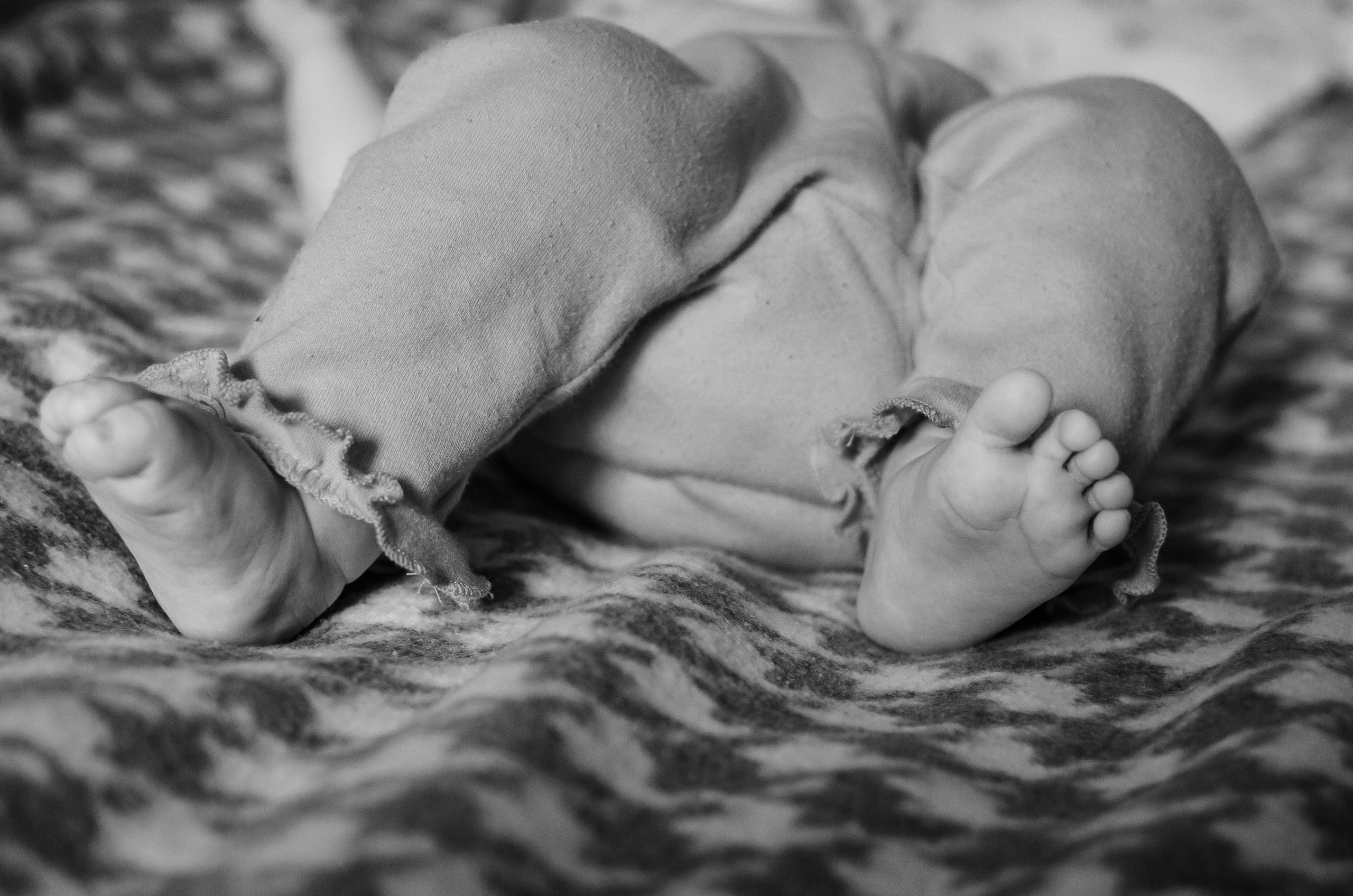 Анна И Софи