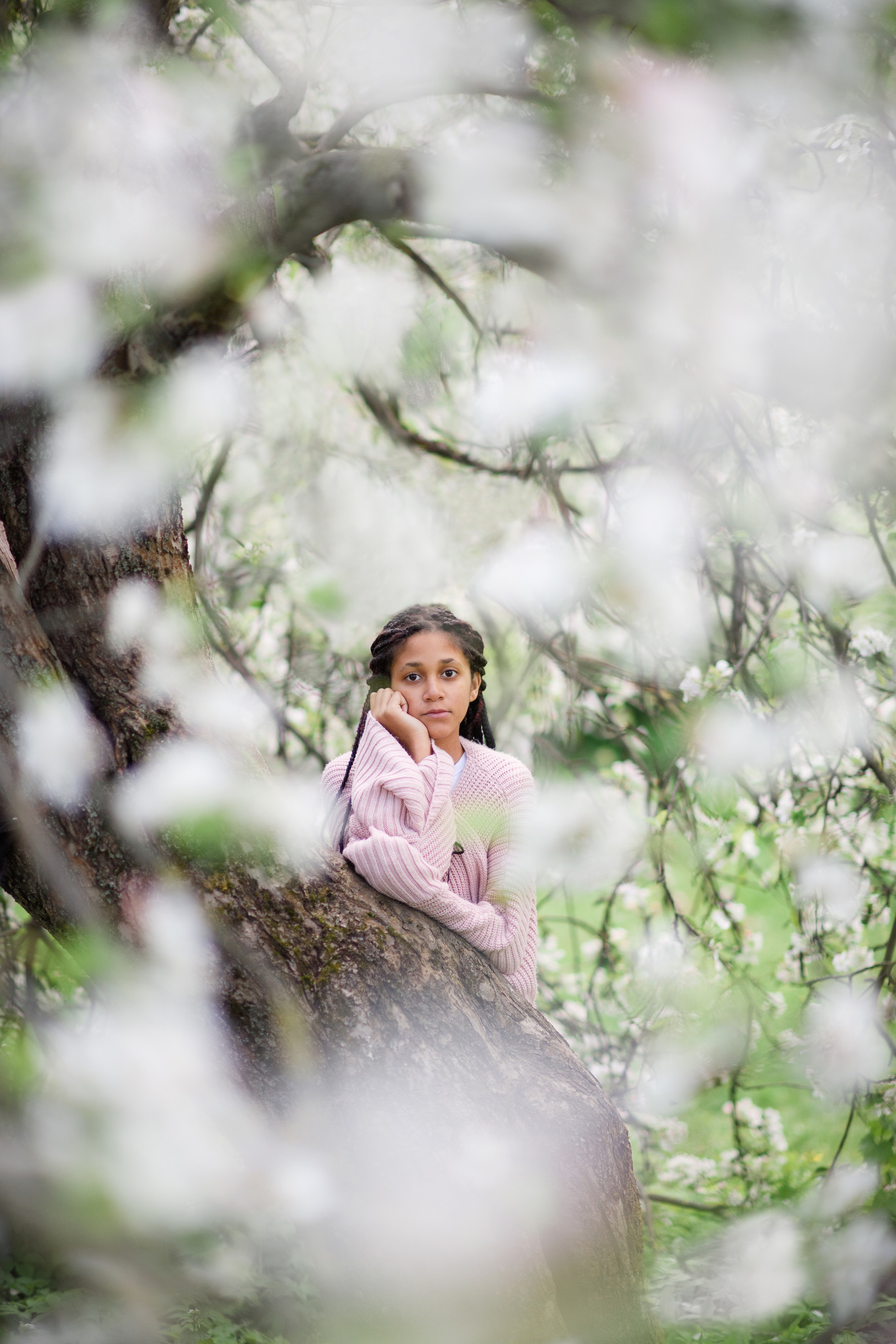Яблони в Коломенском. Ясмина. Главная