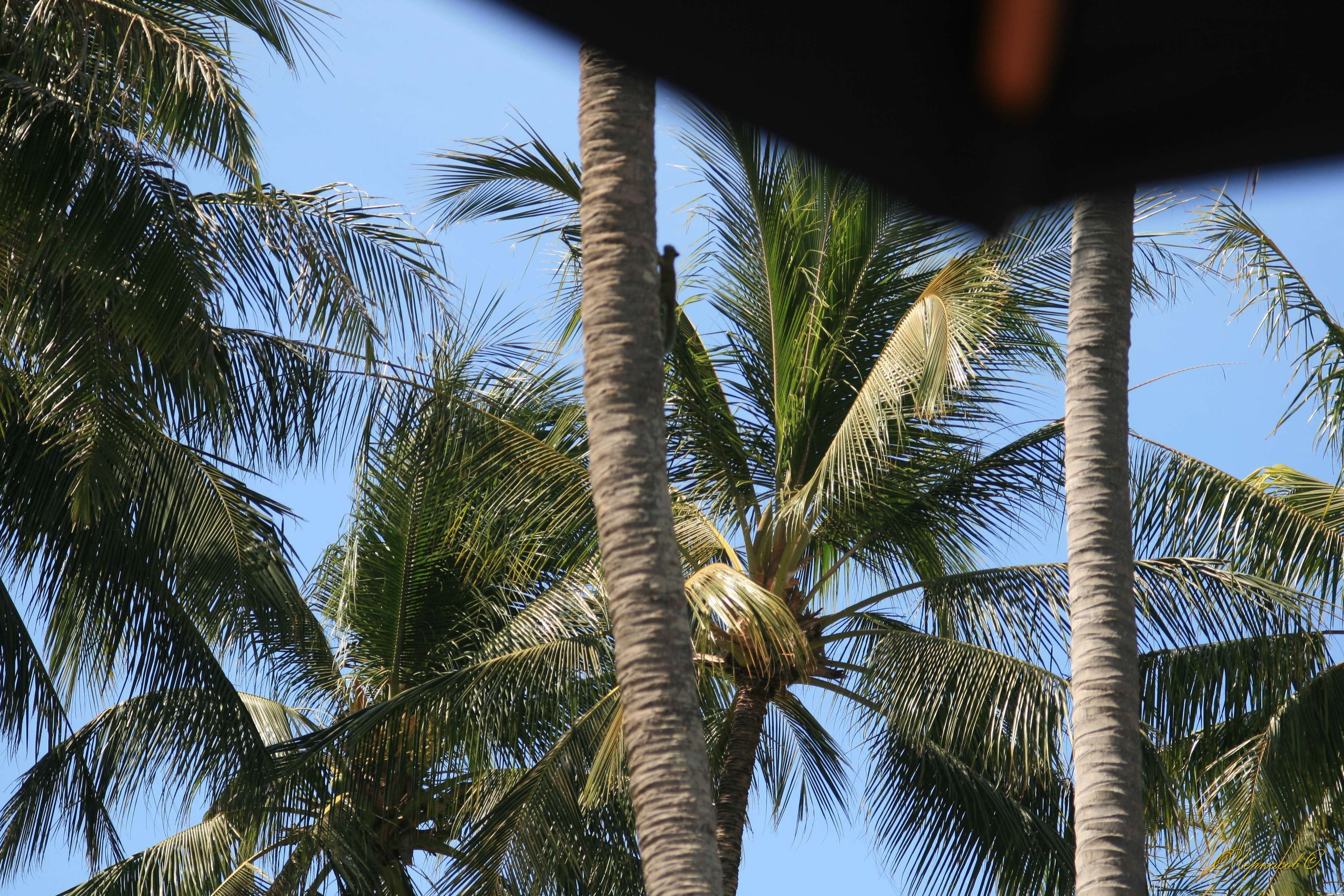 Вьетнам 2008 г. Улица, люди, жизнь…