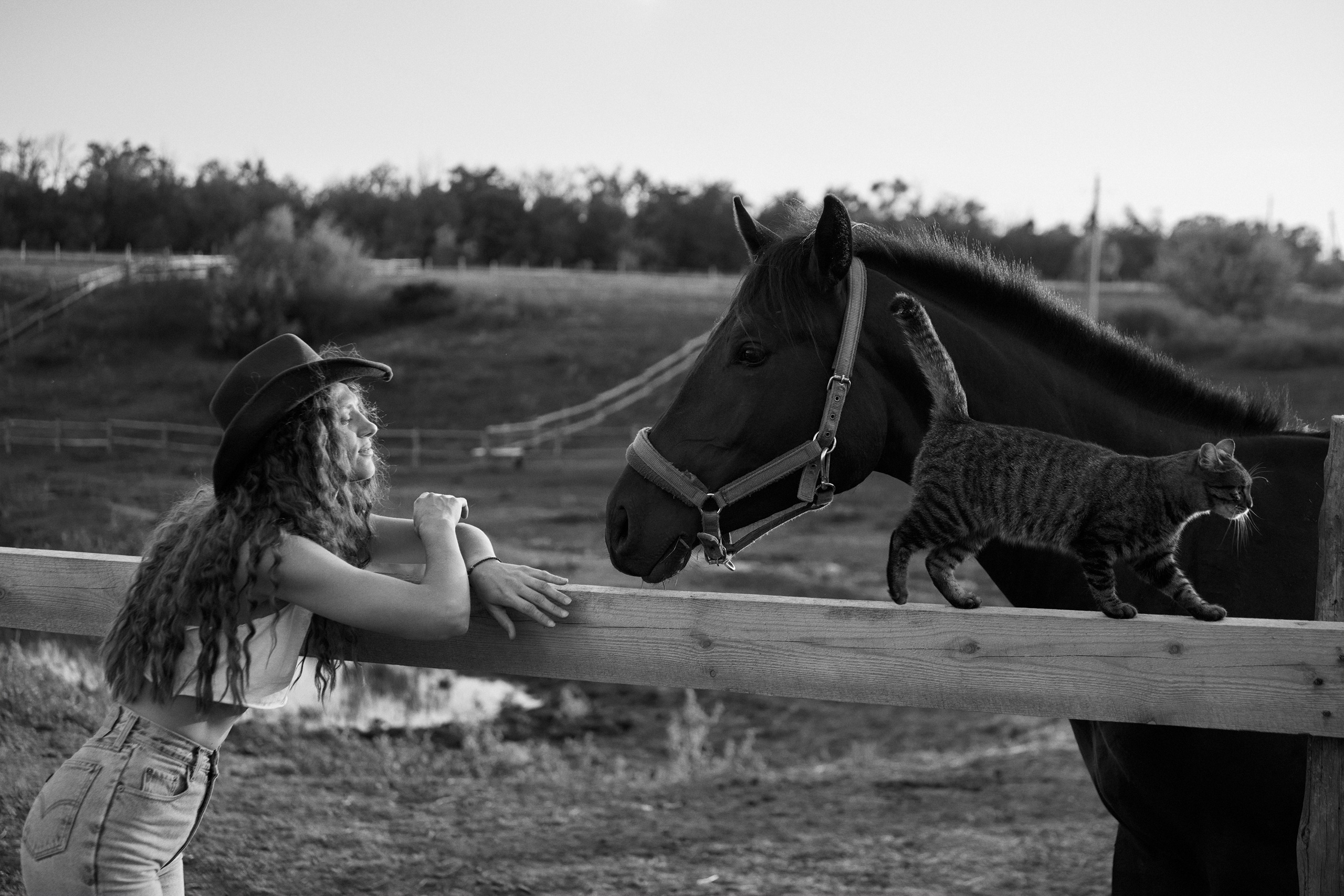Ranch. Портретный фотограф в Москве Дмитрий Пивень