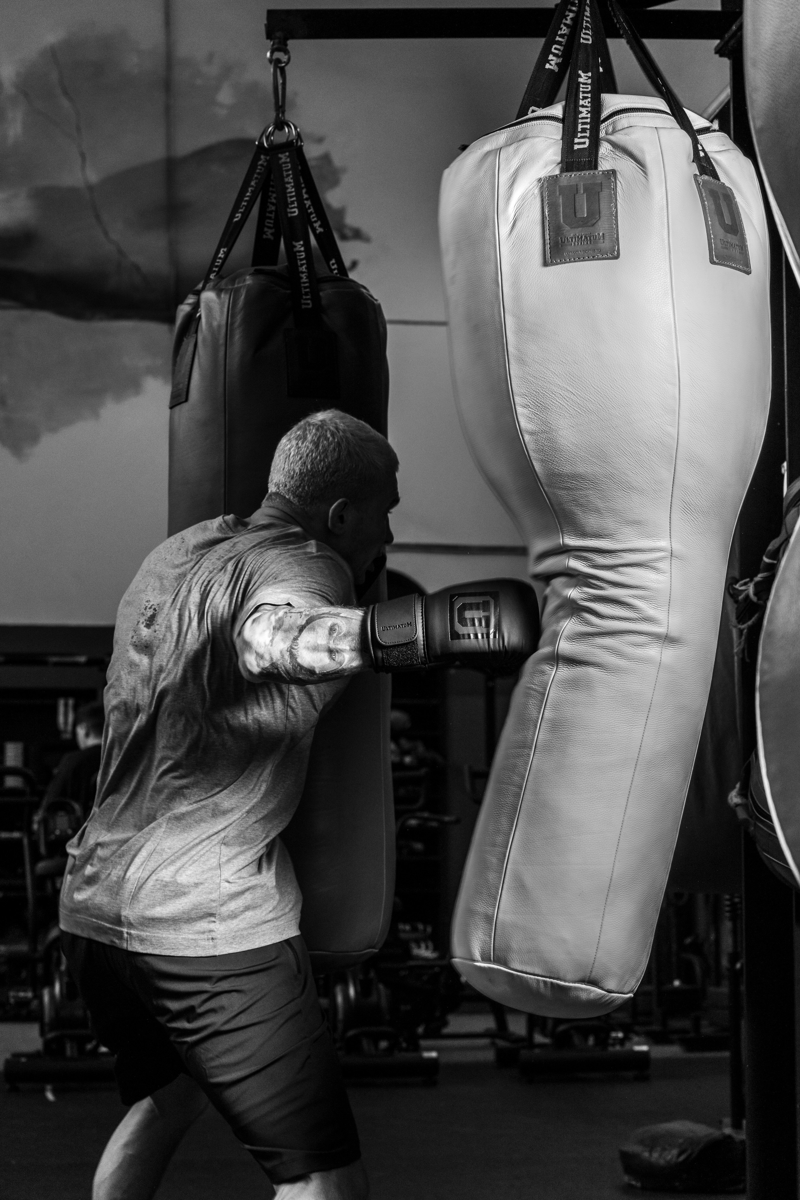 Ultimatum boxing. Not an artist, but photographer. Ivan birdman