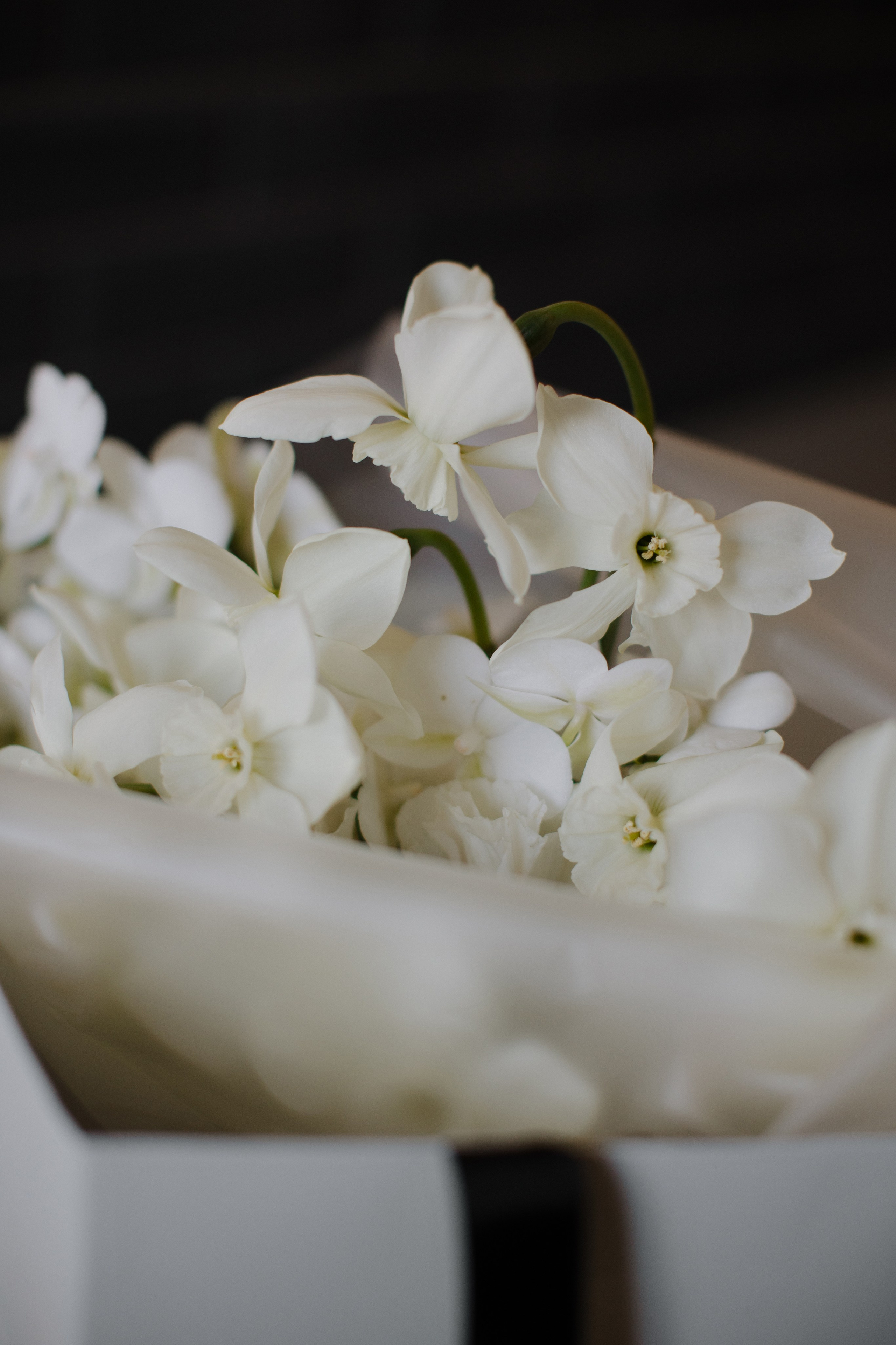 Натали & Павел. Свадебный фотограф Екатерина Тимукина