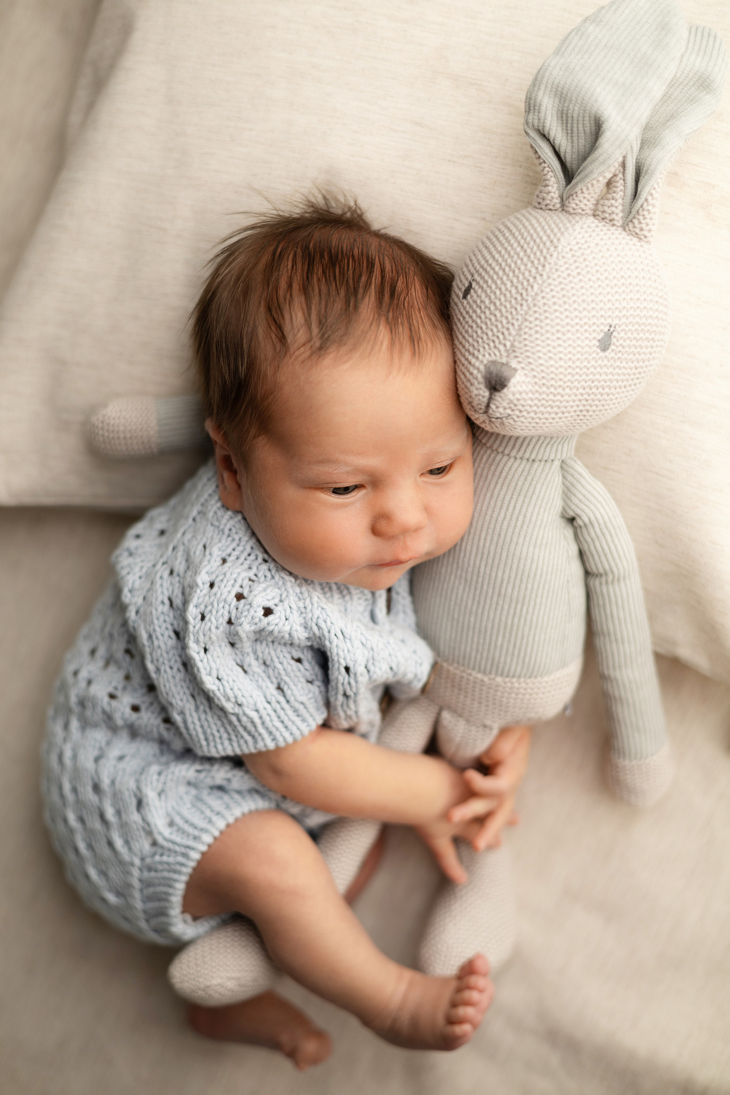 Лев. Лилия Алтухова — фотограф новорожденных в Москве и области