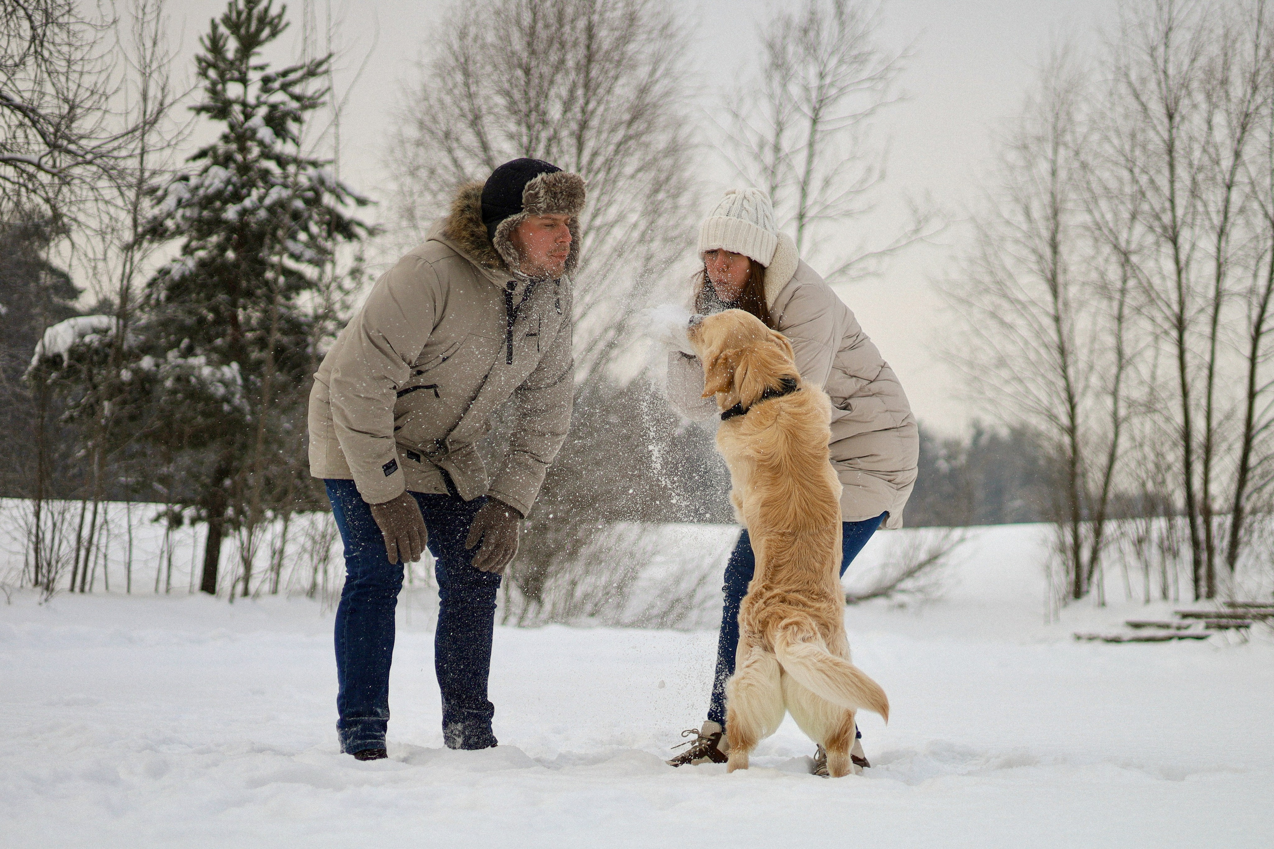 Стивен, Лена и Миша. Фотограф-анималист Ксения Шевцова|Москва