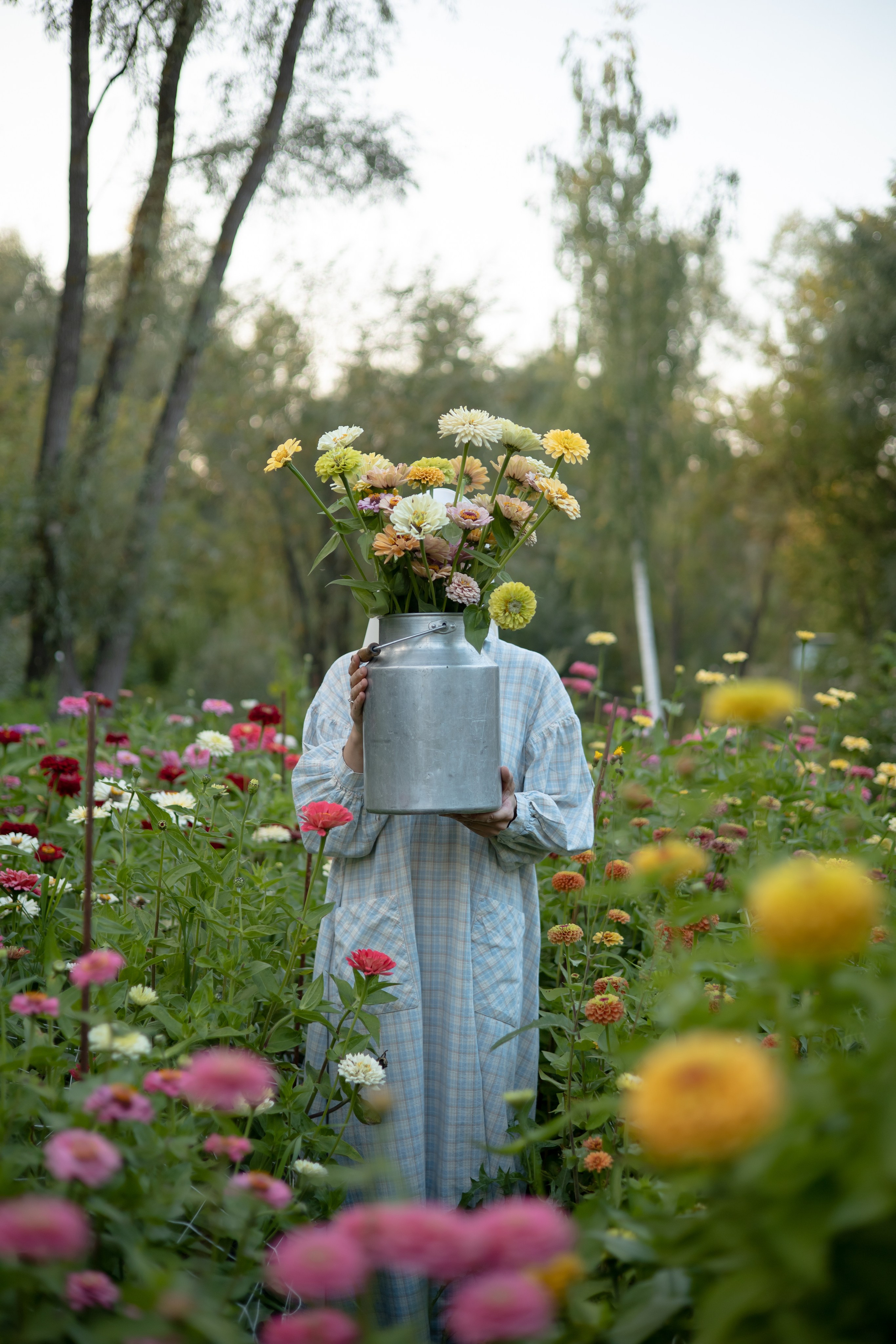 ДИНИЯ. Фотограф Элла Ефимова
