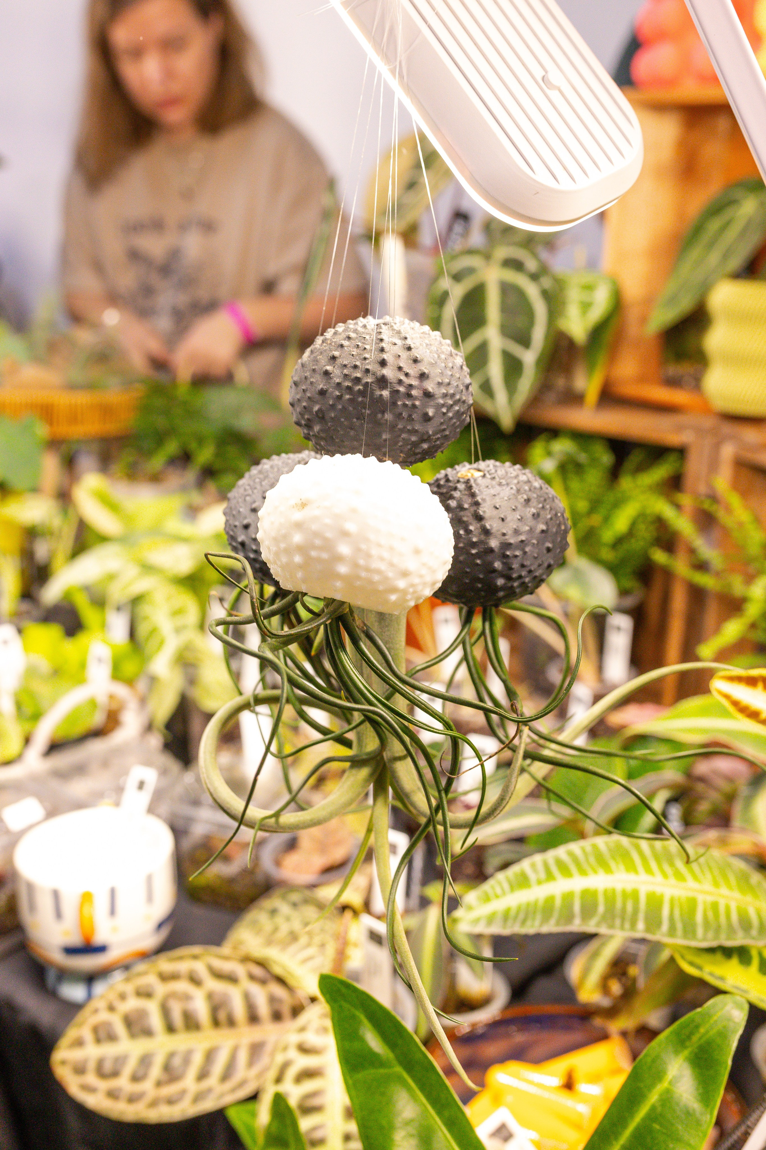 Монстериум 11–12 октября. Александра Куликова фотограф, Москва