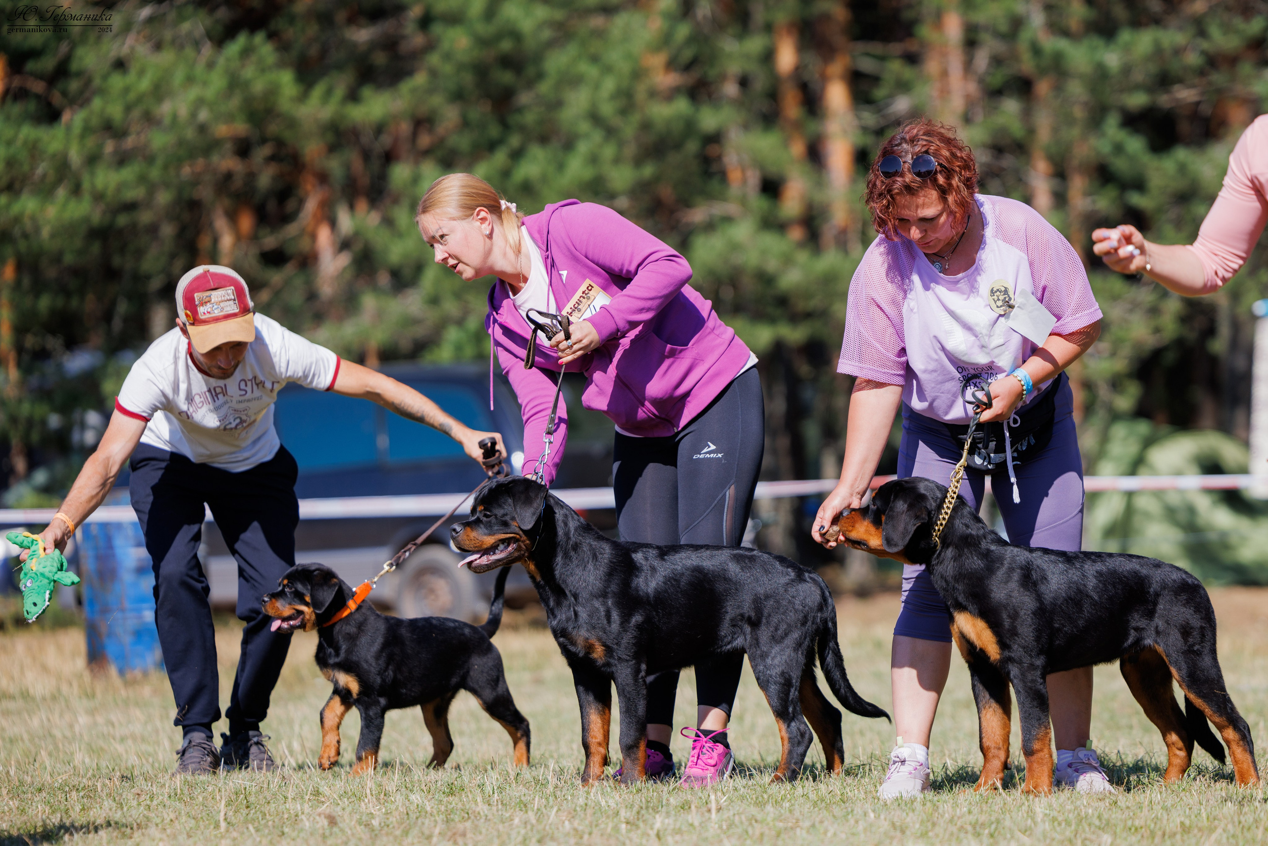 ПК и КЧК ротвейлеры Тверь 6-7.07.2024. Фотограф-анималист Юлия Германика