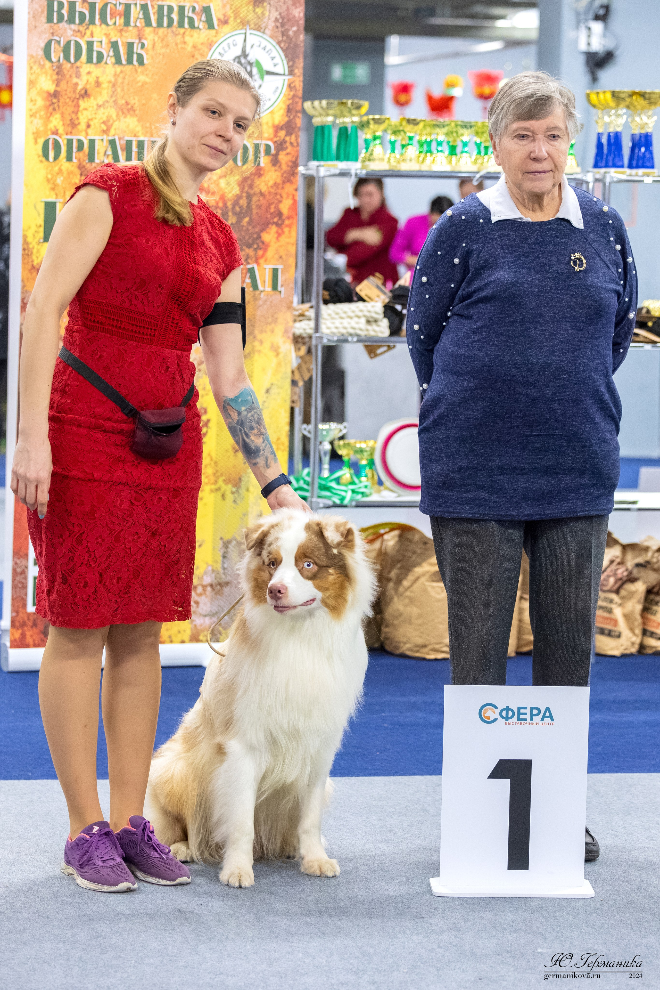 Сфера 08 и 10.03.2024 2хмоно ротвейлеров+2хмоно сао. Фотограф-анималист Юлия Германика