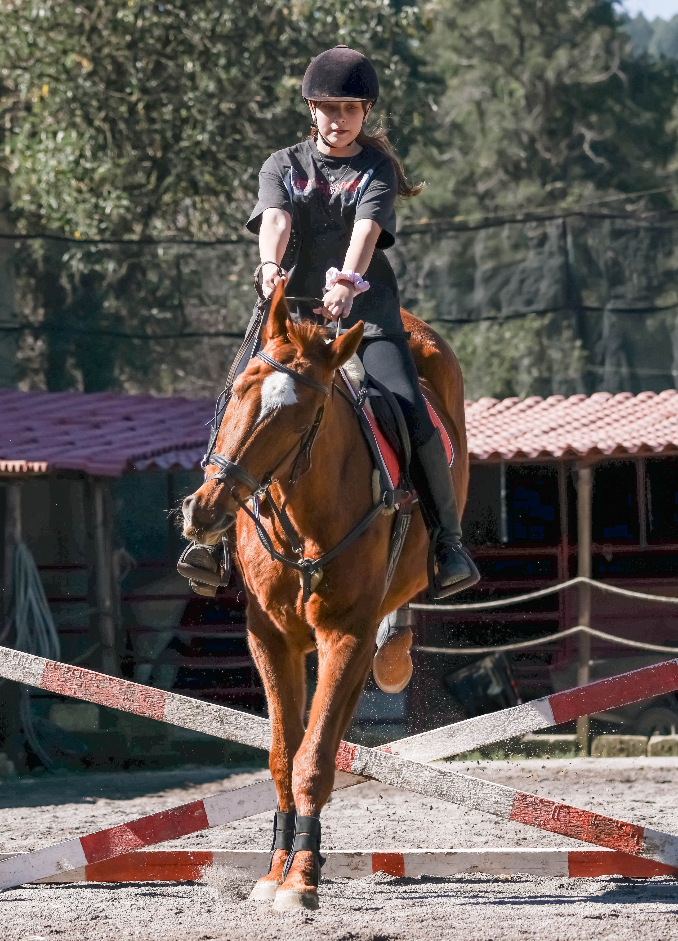 Лошади. Kateserbina